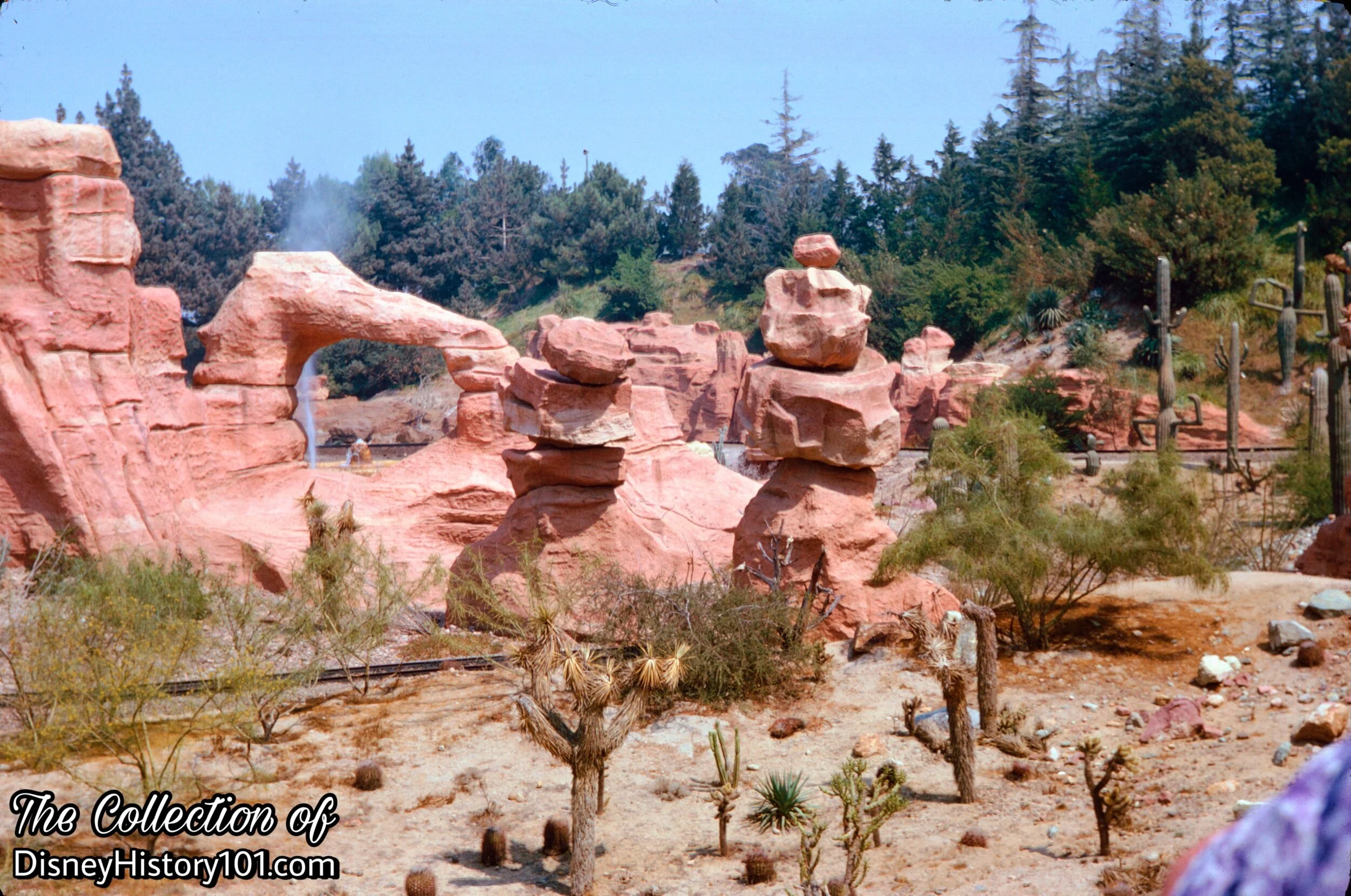 The three-dimensional, carved plaster RockWork and Desert Landscaping