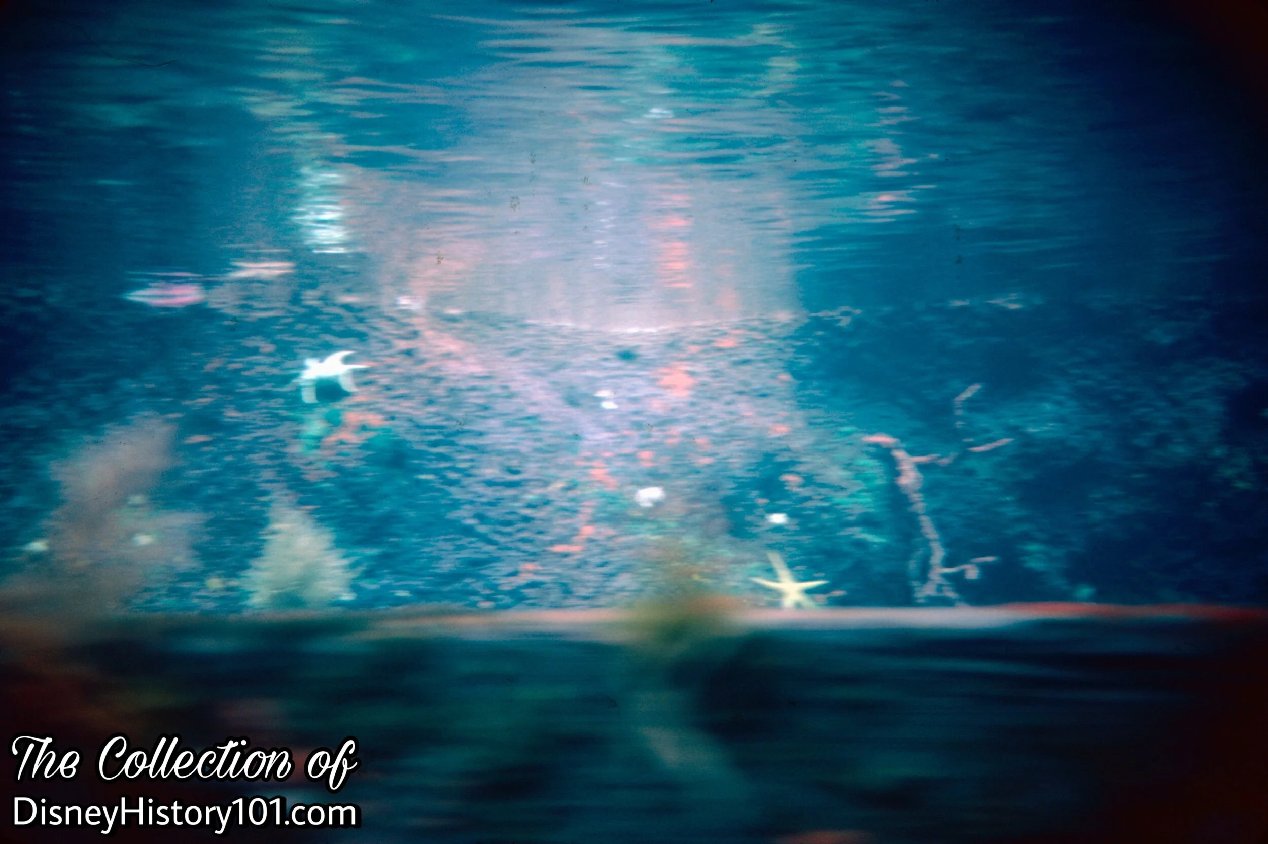 58691974-3EA8-4A54-A8CF-136E1DA6C75C.jpeg