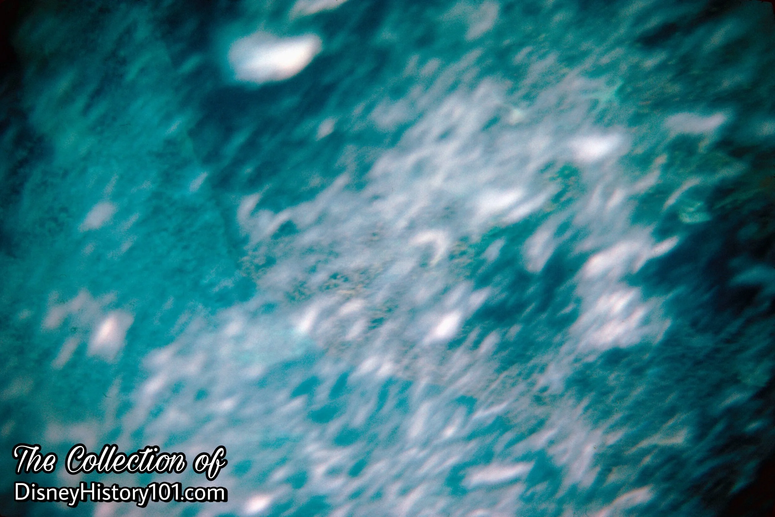 659498DE-590D-416F-B138-D5AD78FB6025.jpeg