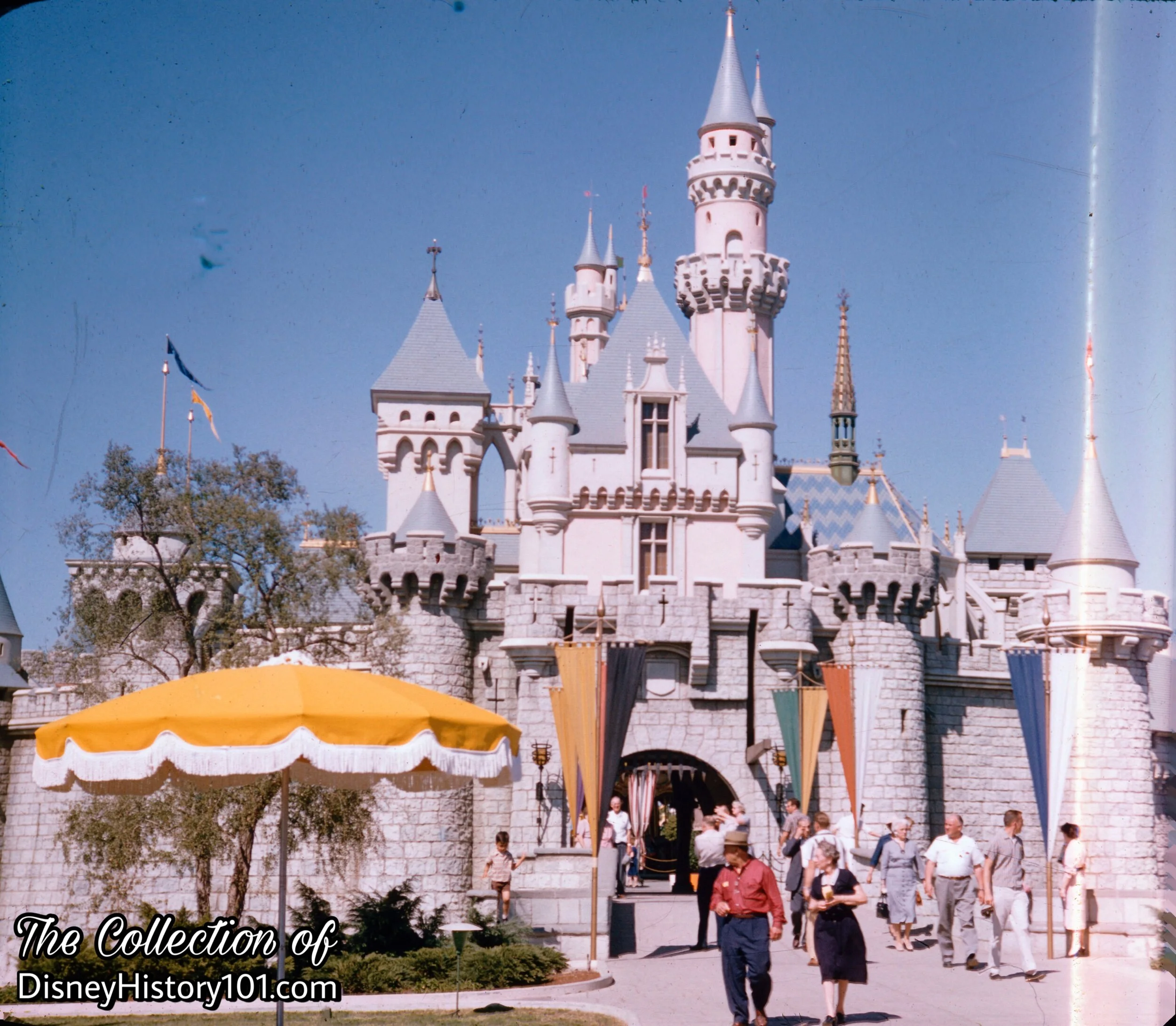 Sleeping Beauty Castle