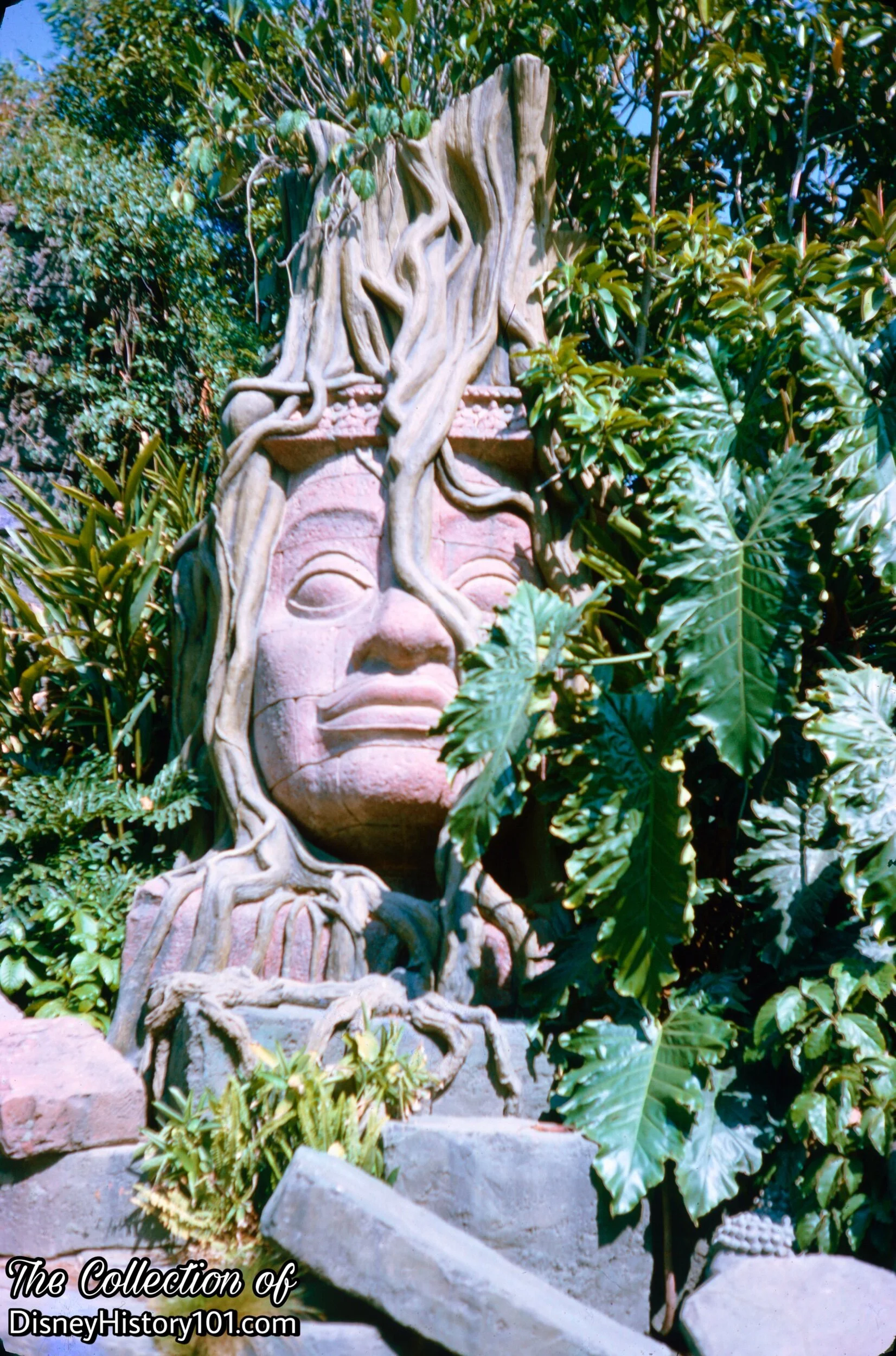 (August, 1965)