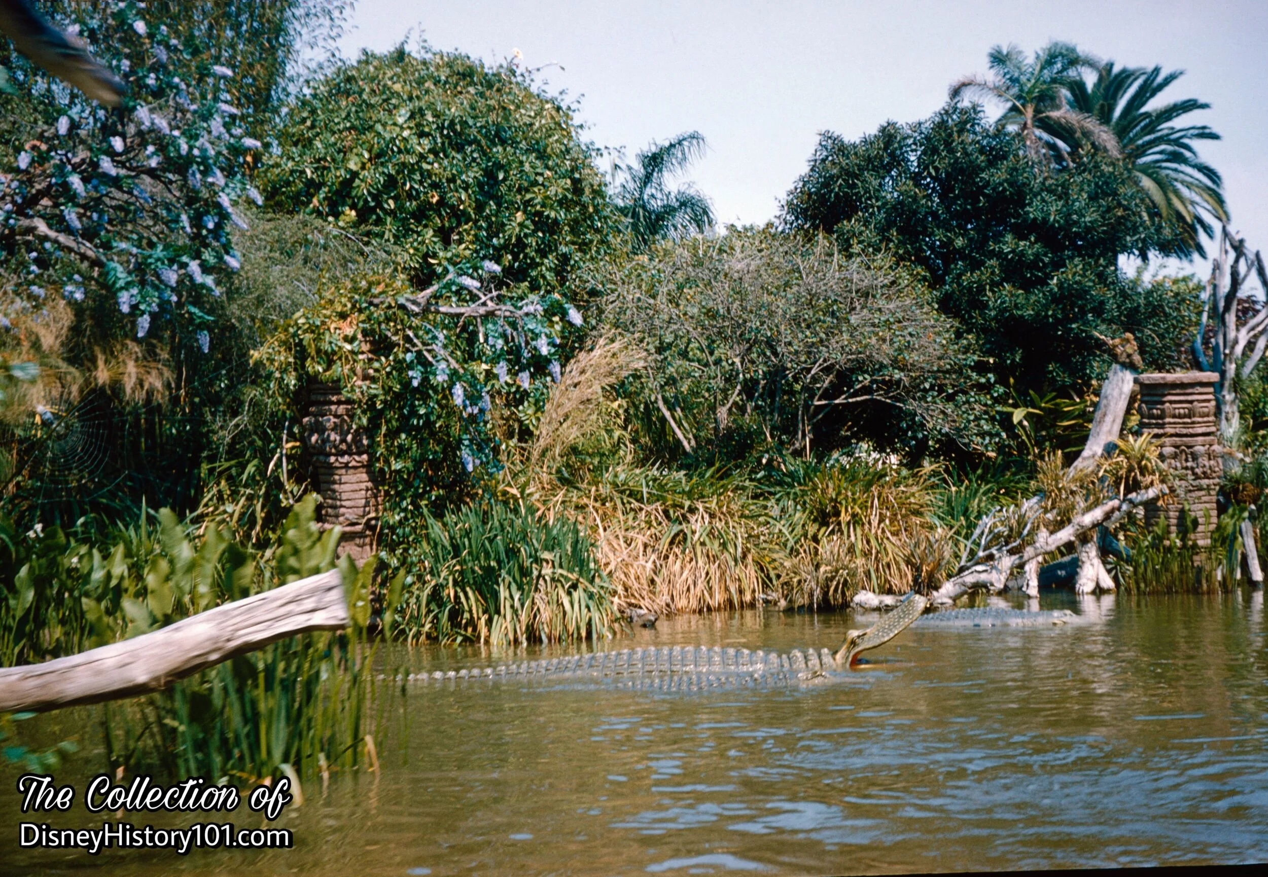 “CAMBODIAN SHRINE RUINS”, 1960