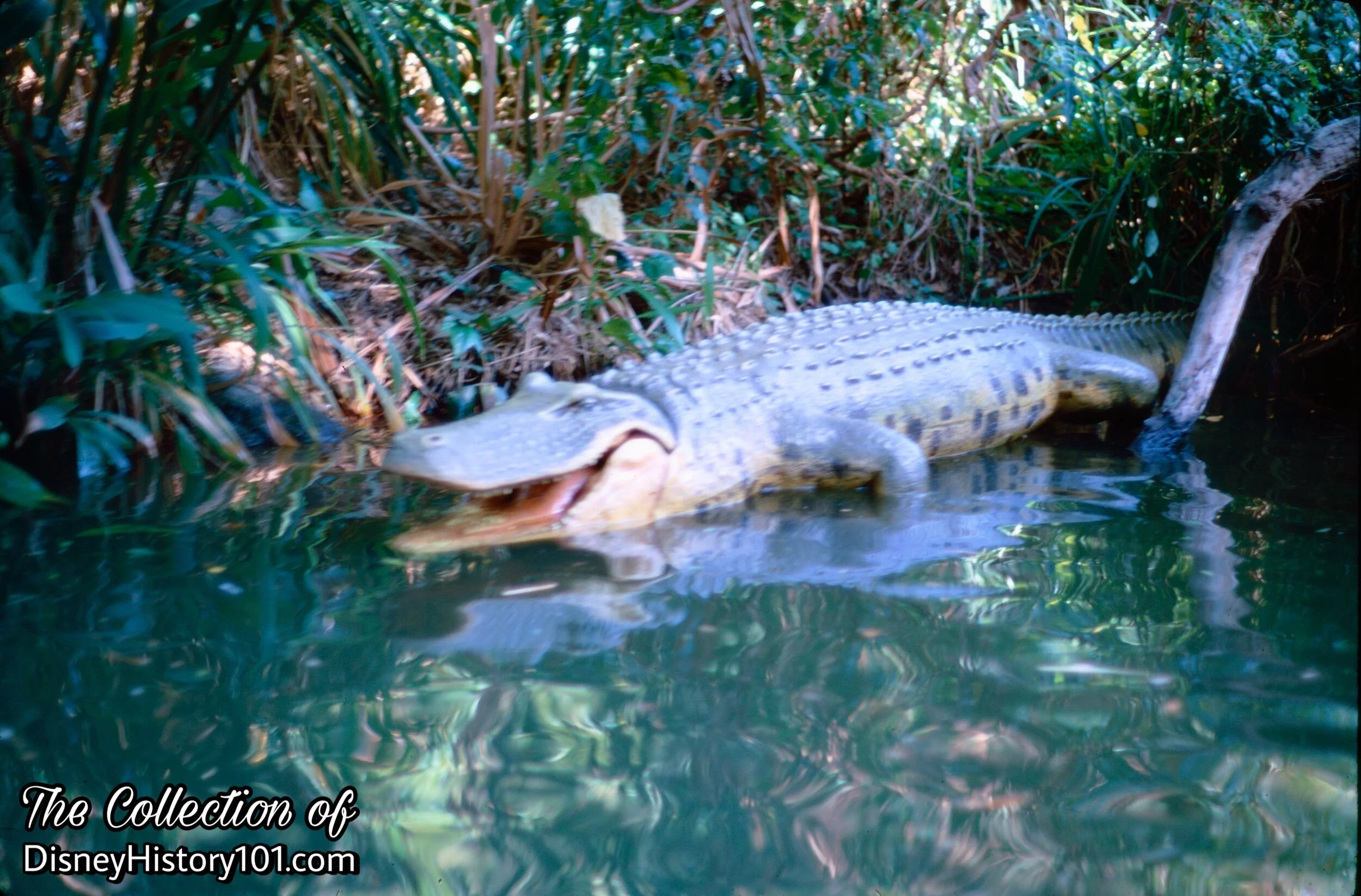 “CROCODILE INFESTED WATERS OF THE MEKONG RIVER, ASIA”, 1968, April