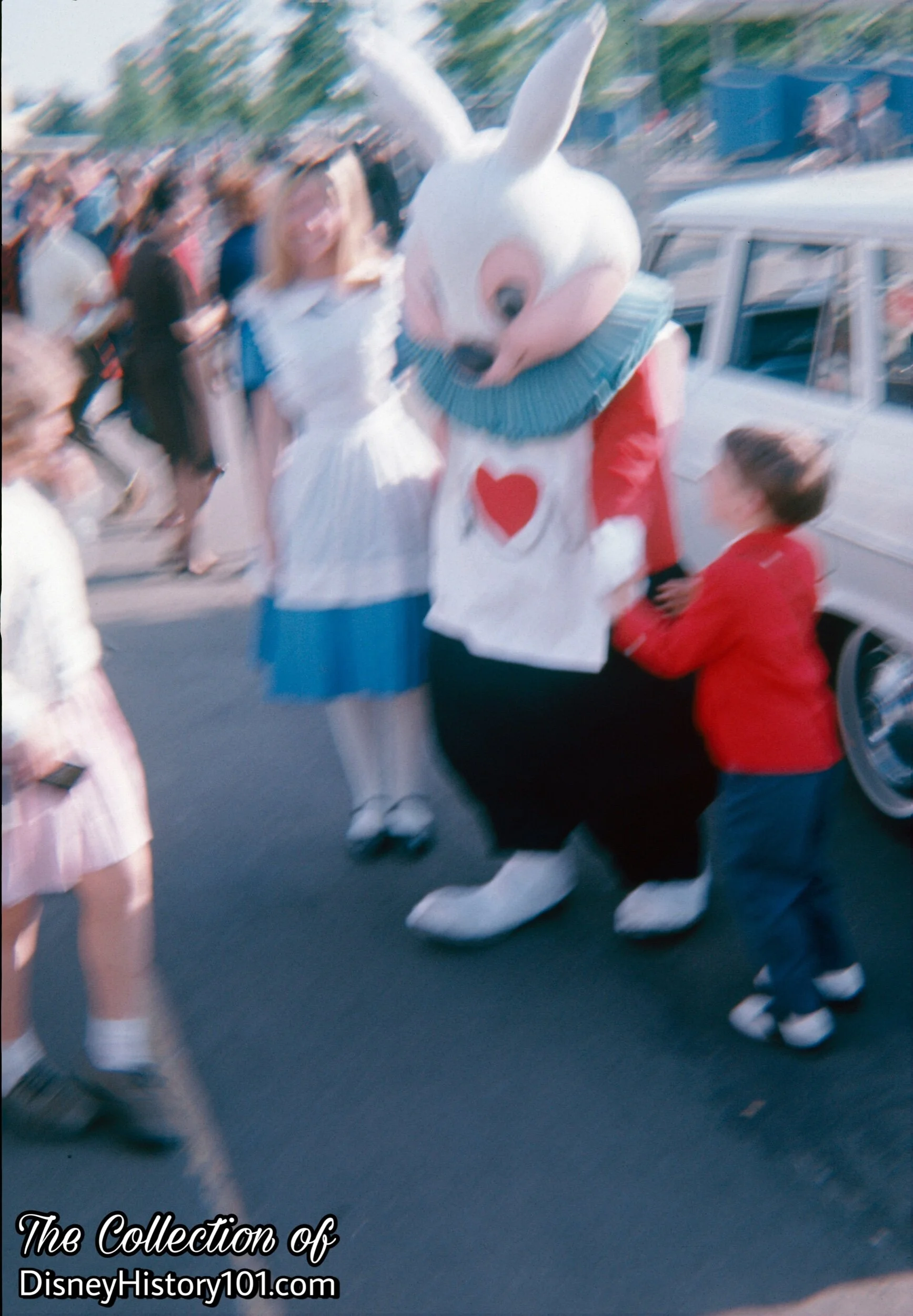 Alice and the White Rabbit