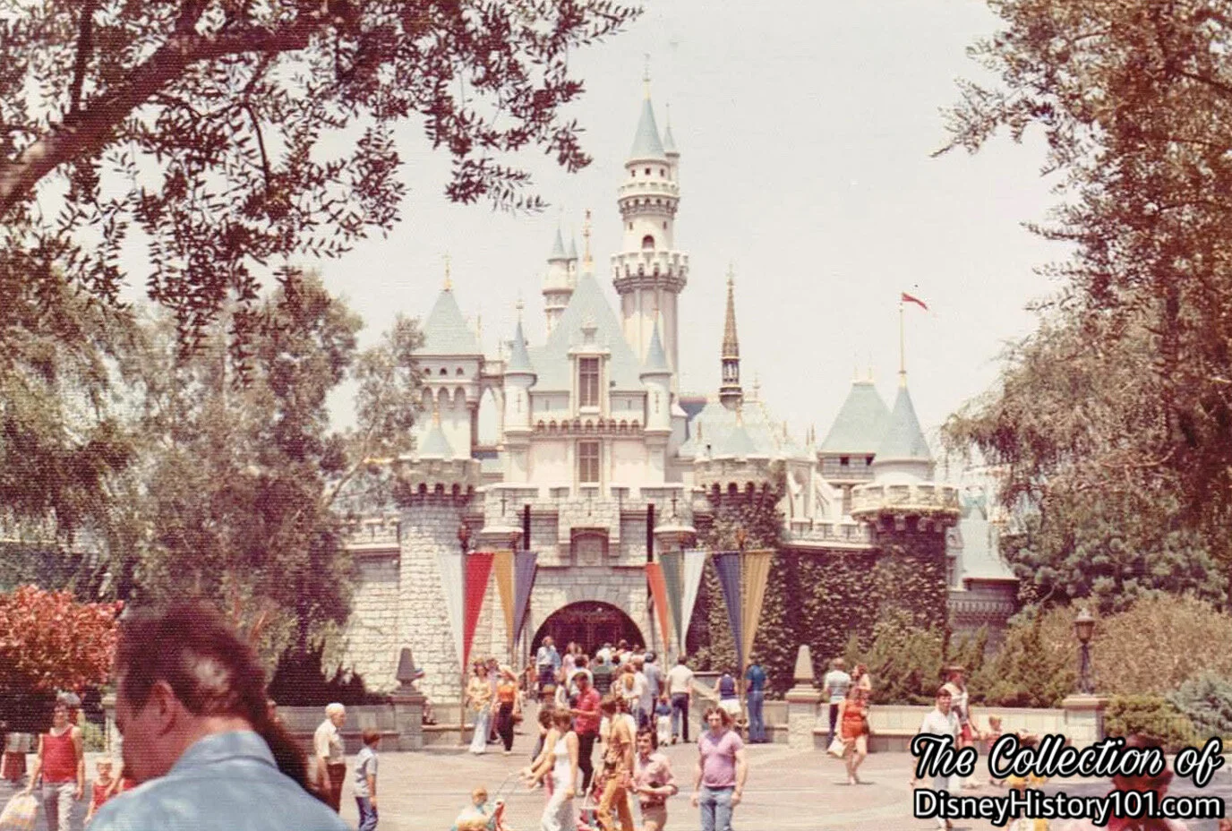Sleeping Beauty Castle