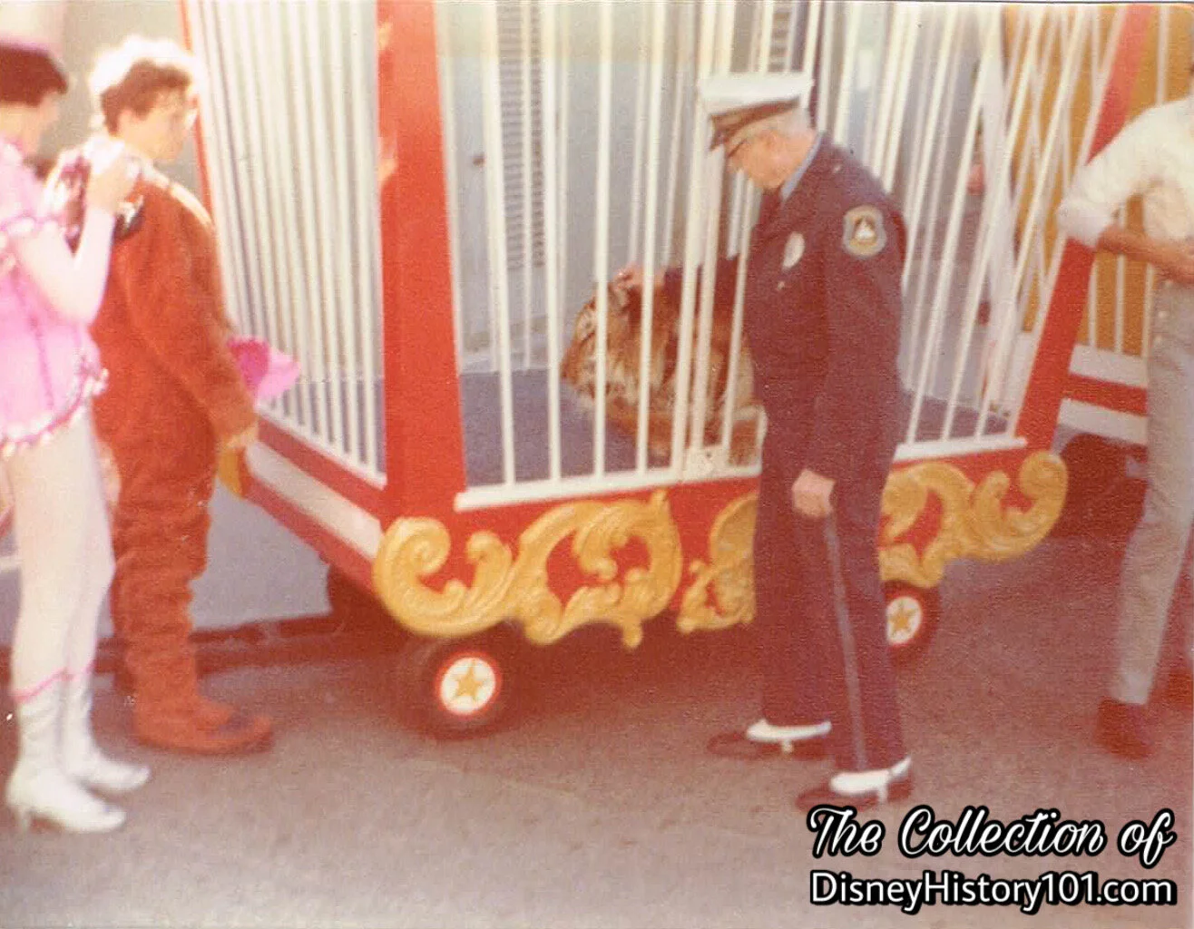 A Tiger Walks… the Backstage Area of Disneyland.