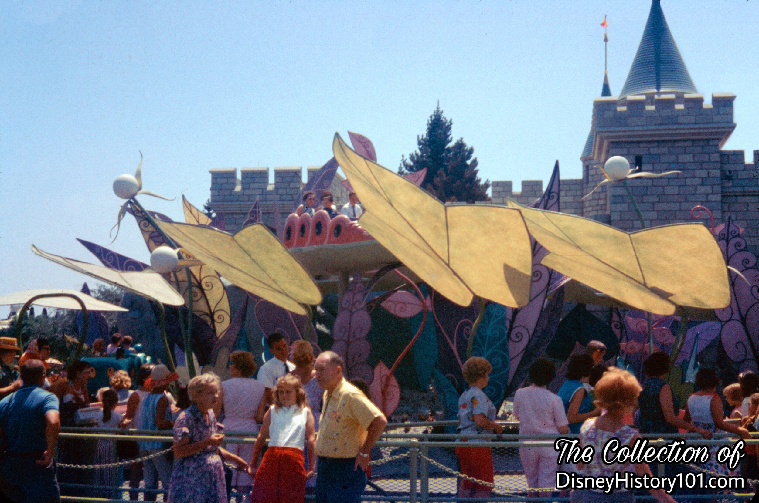 Alice in Wonderland, (August, 1963)