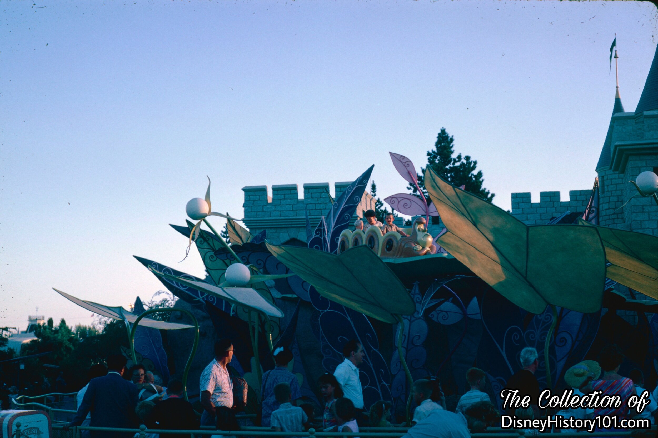 Alice in Wonderland, (August, 1962)