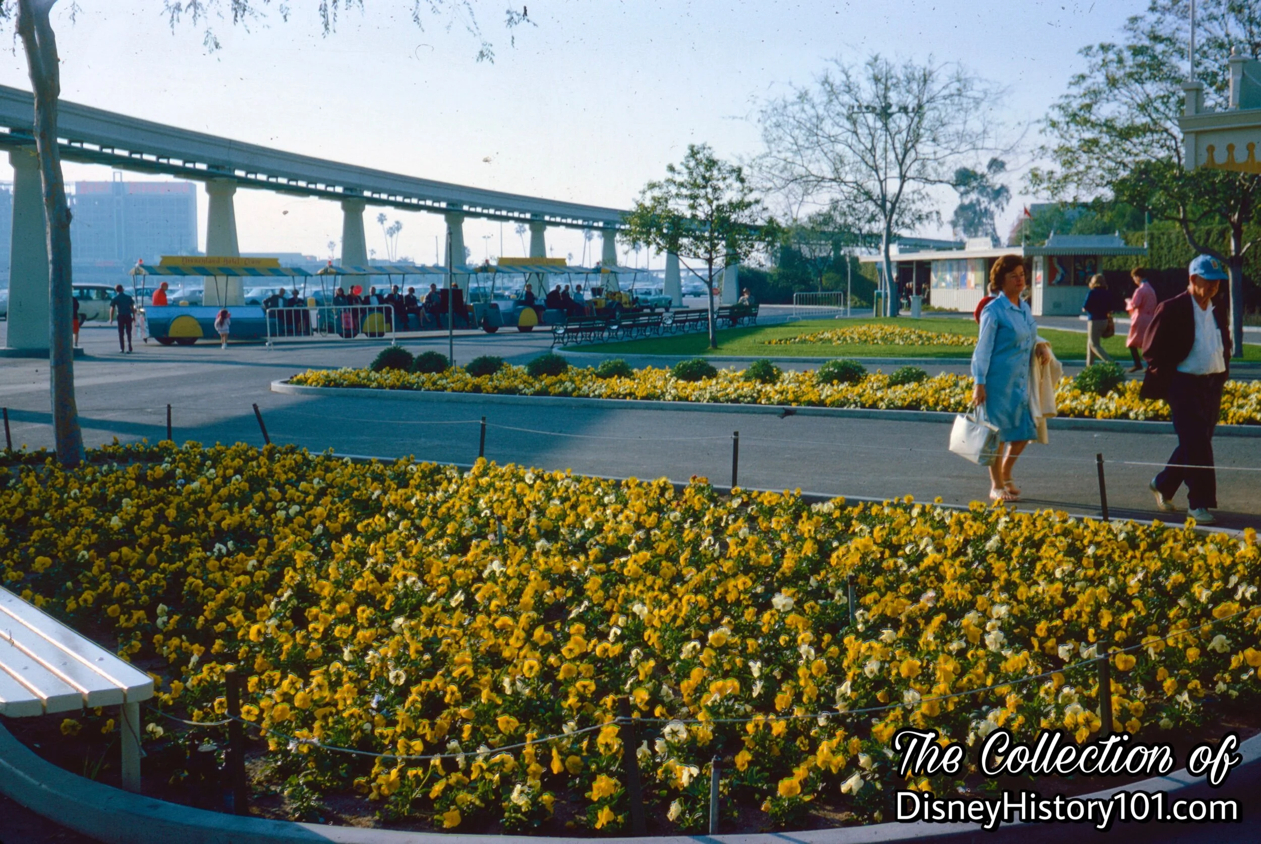 Disneyland Main Entrance Gate Floral Beds, (February, 1966)