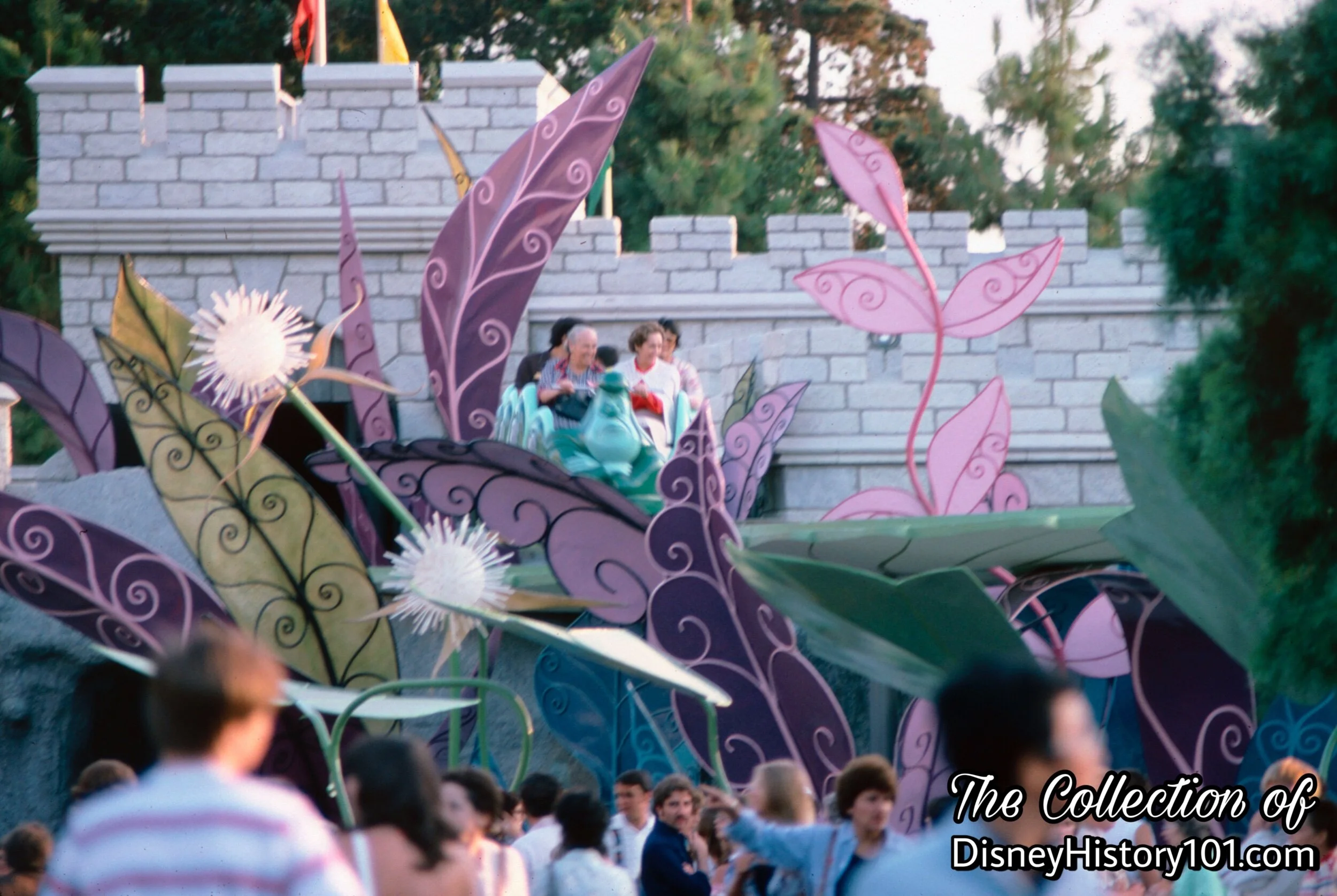 Alice in Wonderland, August, 1975.