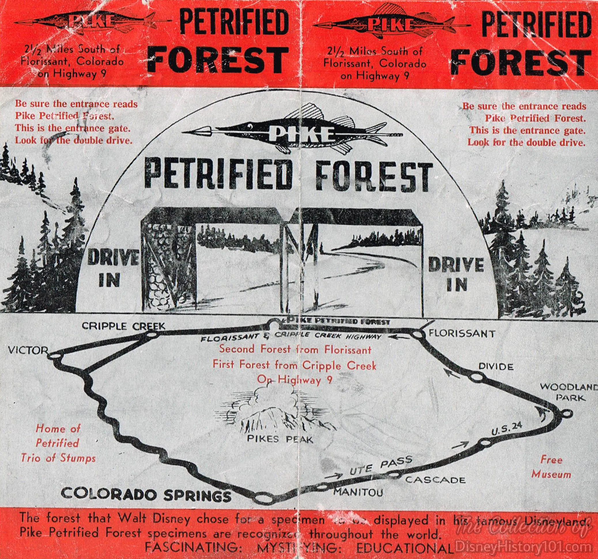 Pike Petrified Forest Brochure; 1956.