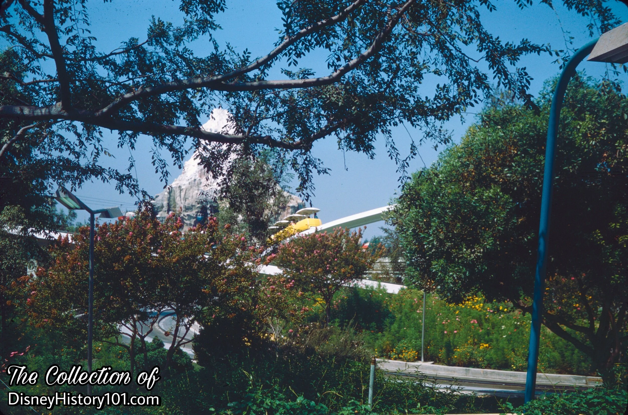 (1967)
