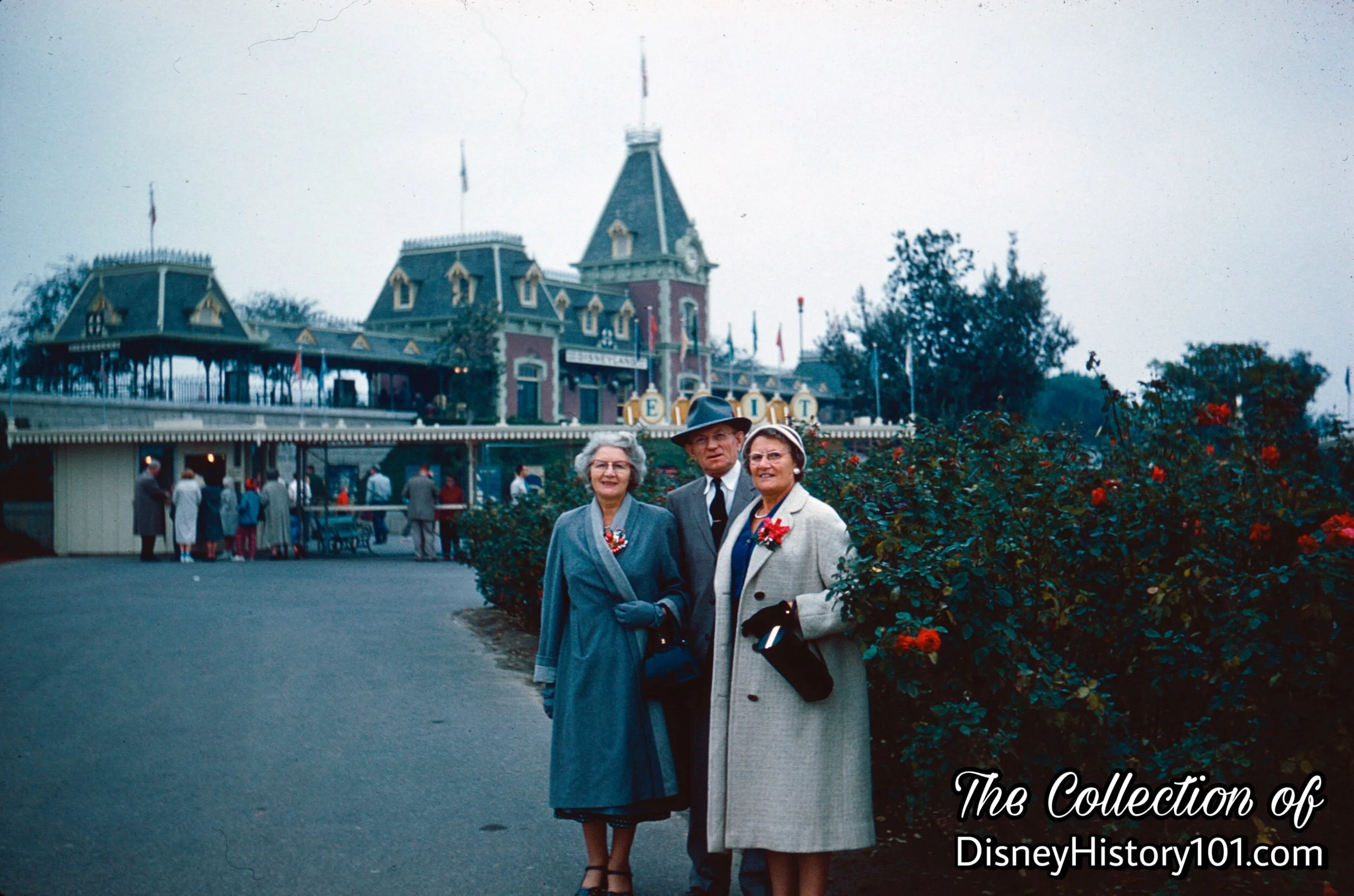 Guests and the velvety red Carousel roses, 1959.