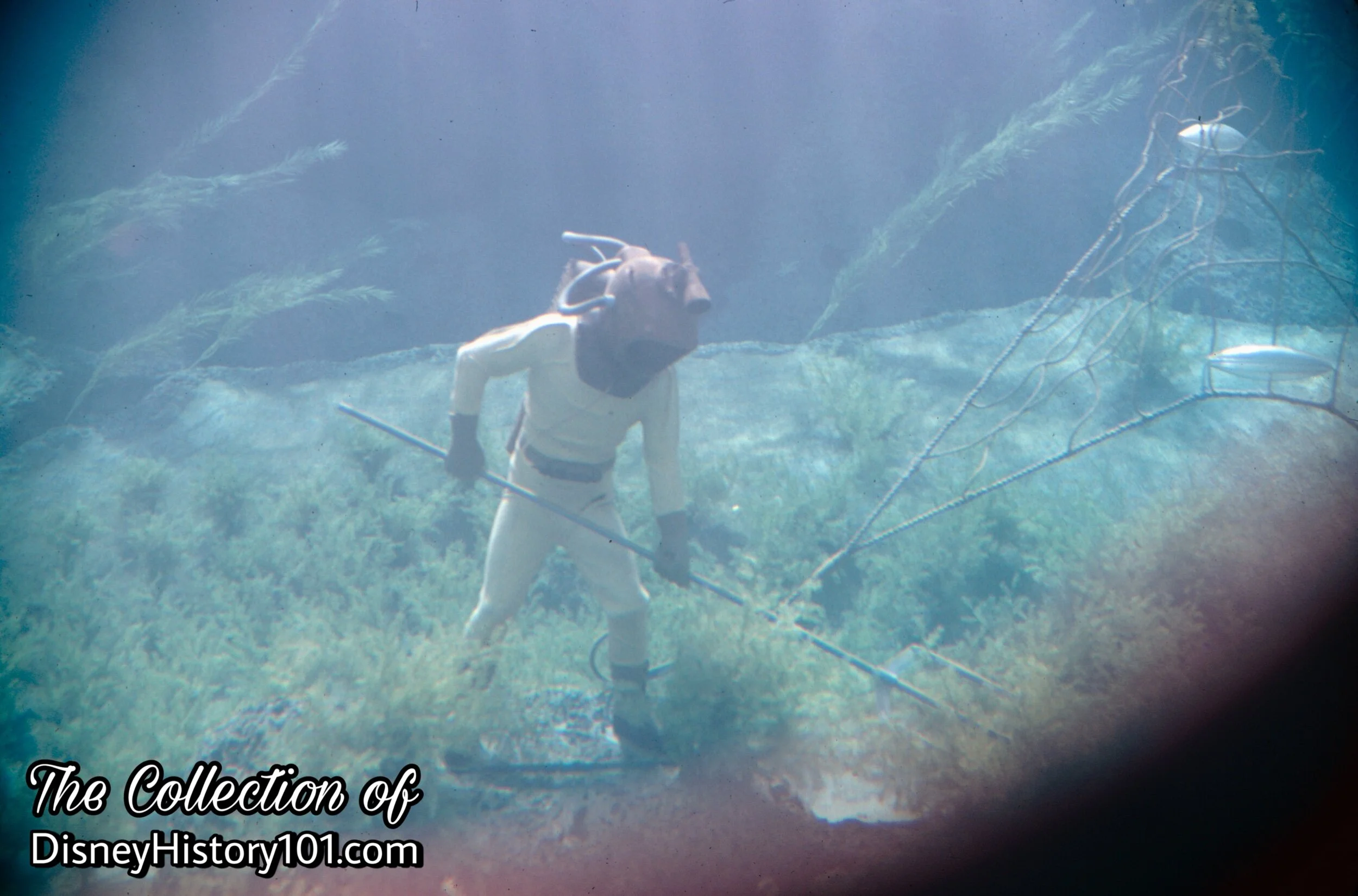 Diver