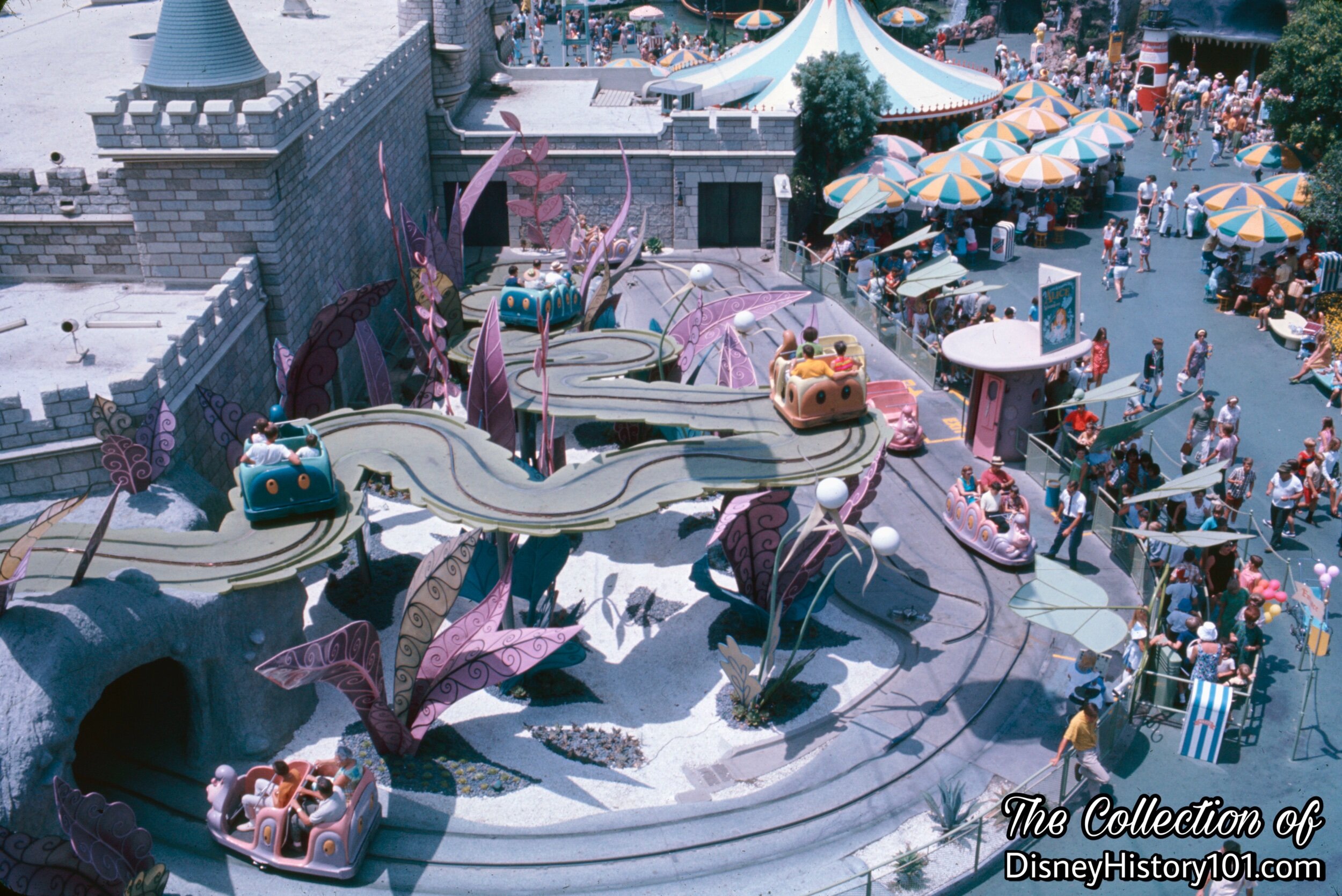 Alice in Wonderland, (c. August, 1967)