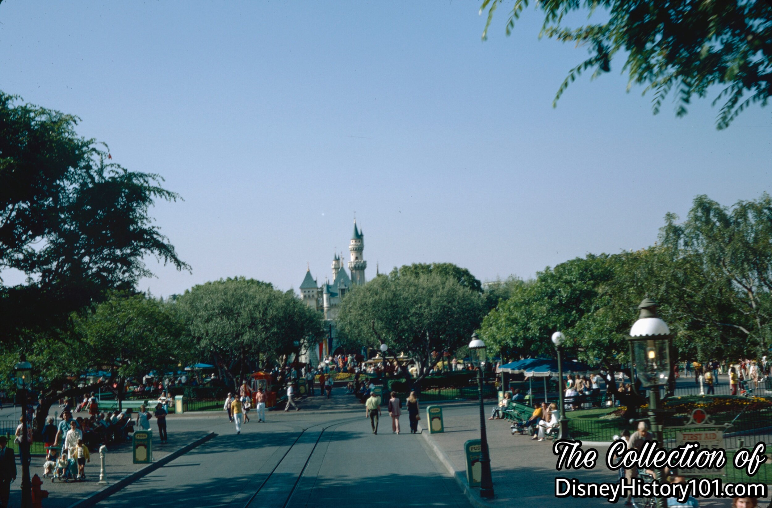 Disneyland Plaza Olive Trees