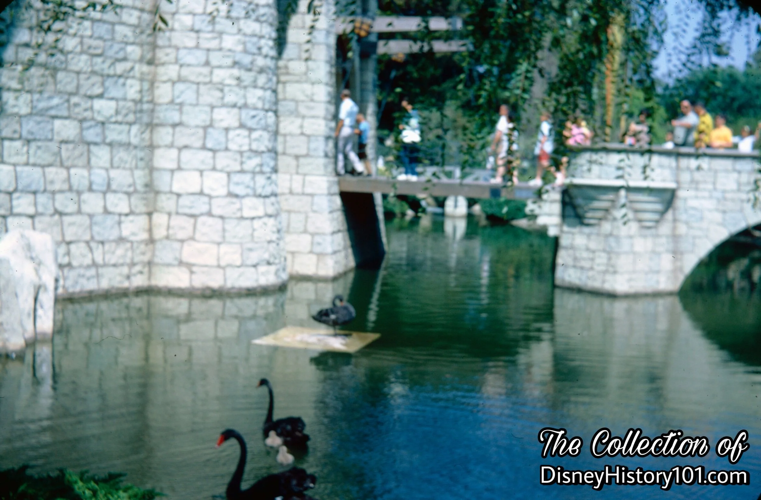 Sleeping Beauty Castle and swans.