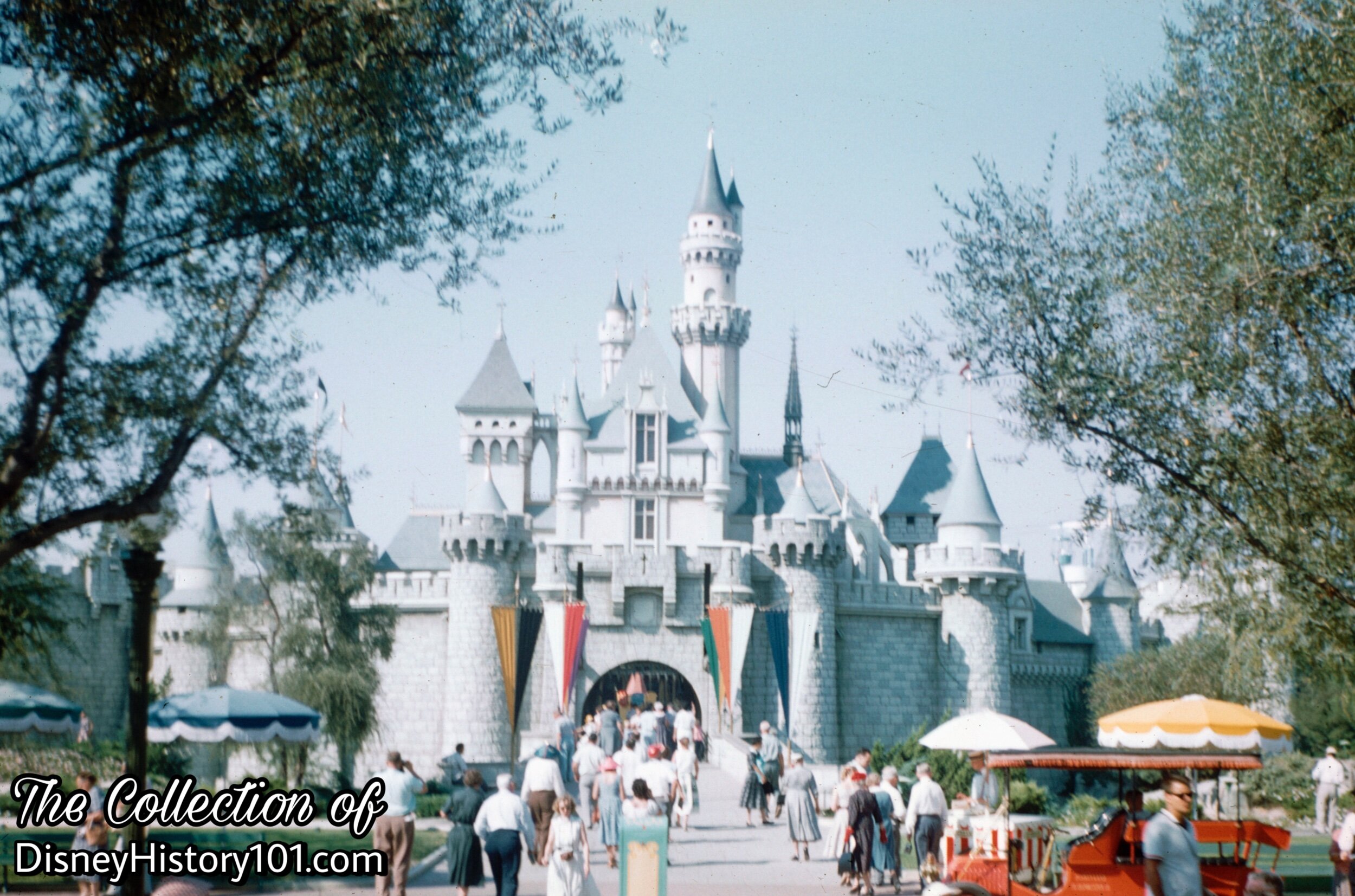 Sleeping Beauty Castle
