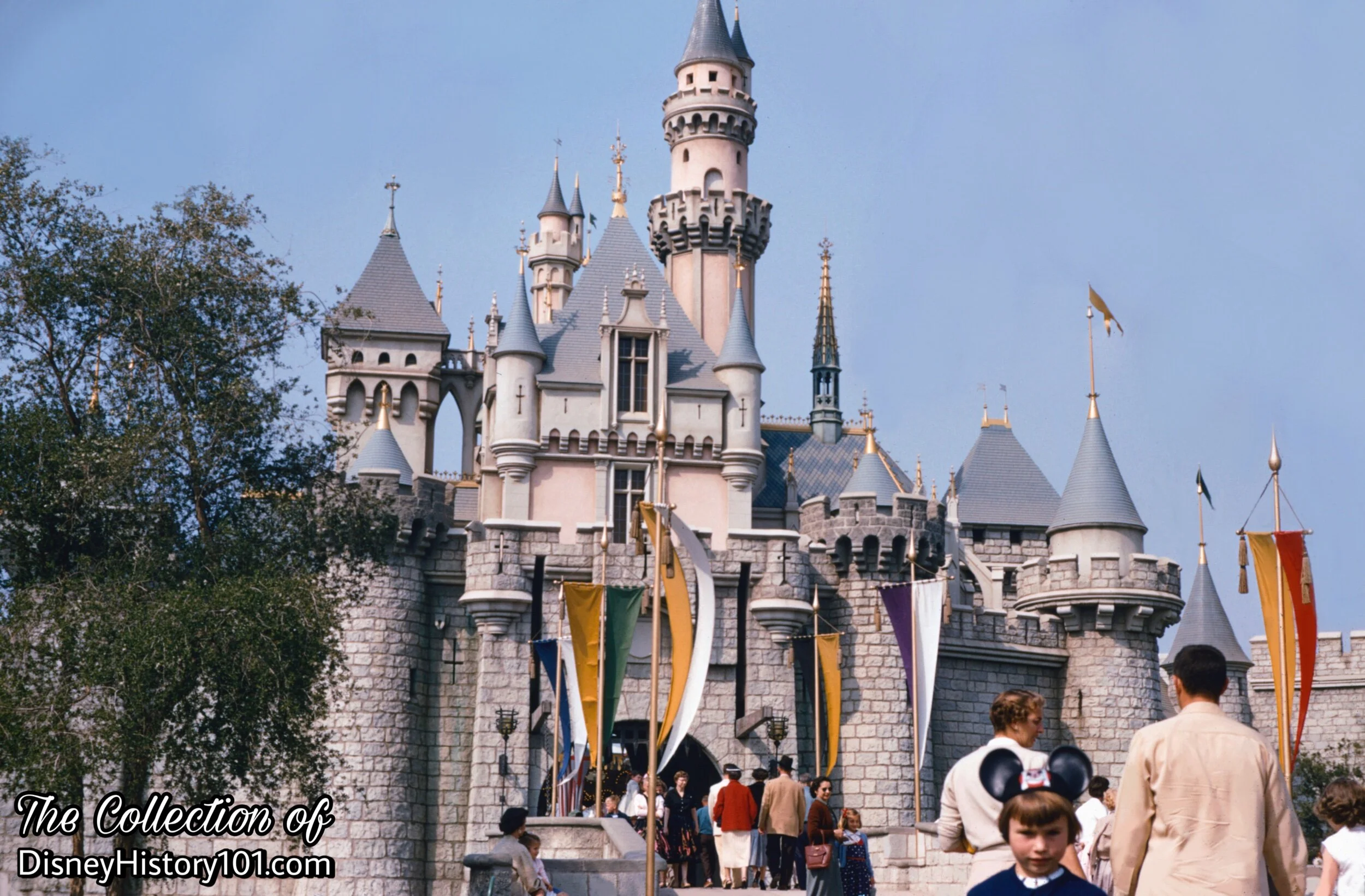 Sleeping Beauty Castle