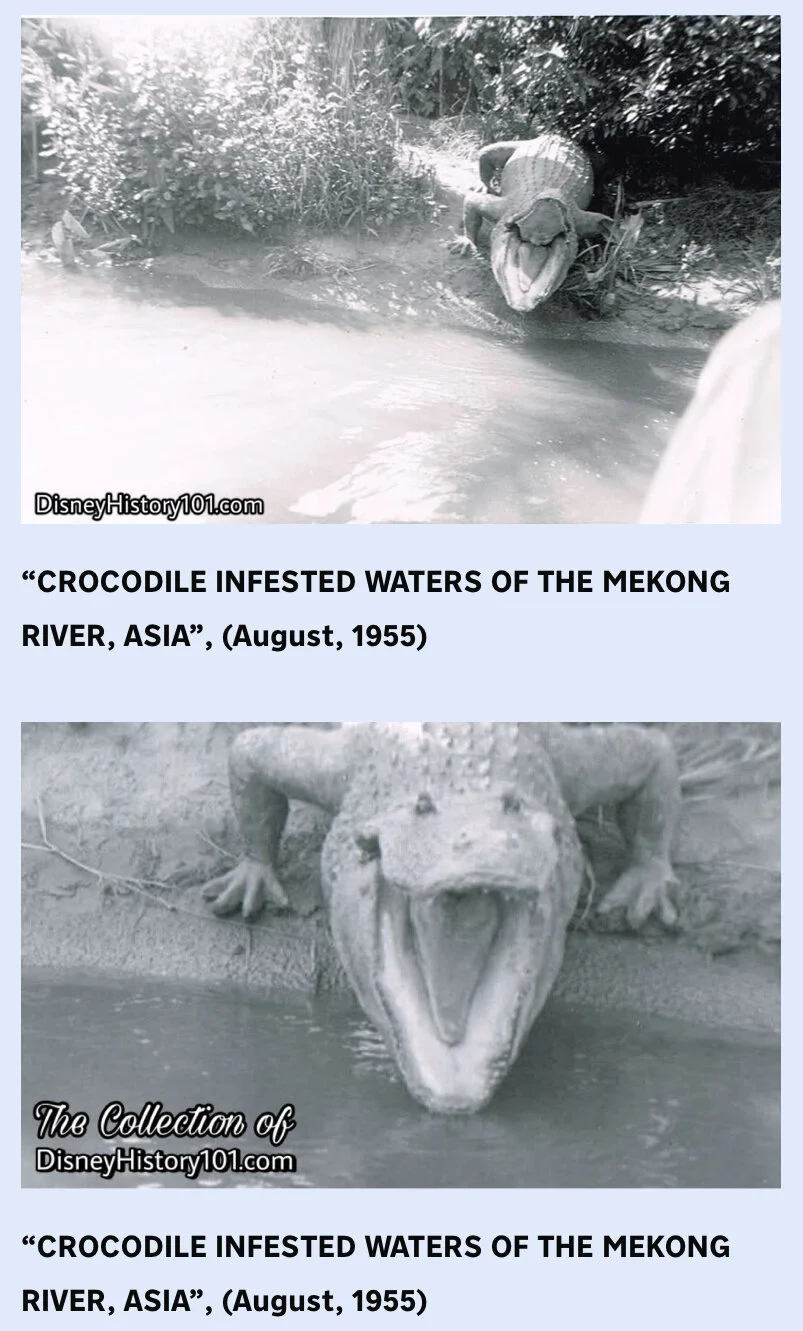  Bob Penfield  recalled “one time when there was a breakdown on the Jungle's old crocodiles. The mechanics wore white coveralls at that time. They had just lifted the crocs up with an A-frame when Bill Sullivan came around the bend with a jungle boa