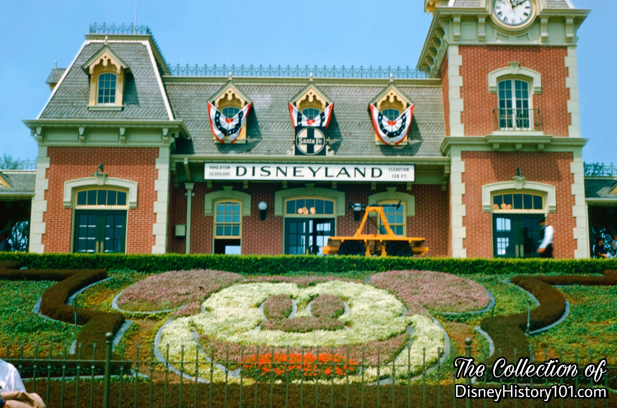 Mickey Mouse Floral Portrait
