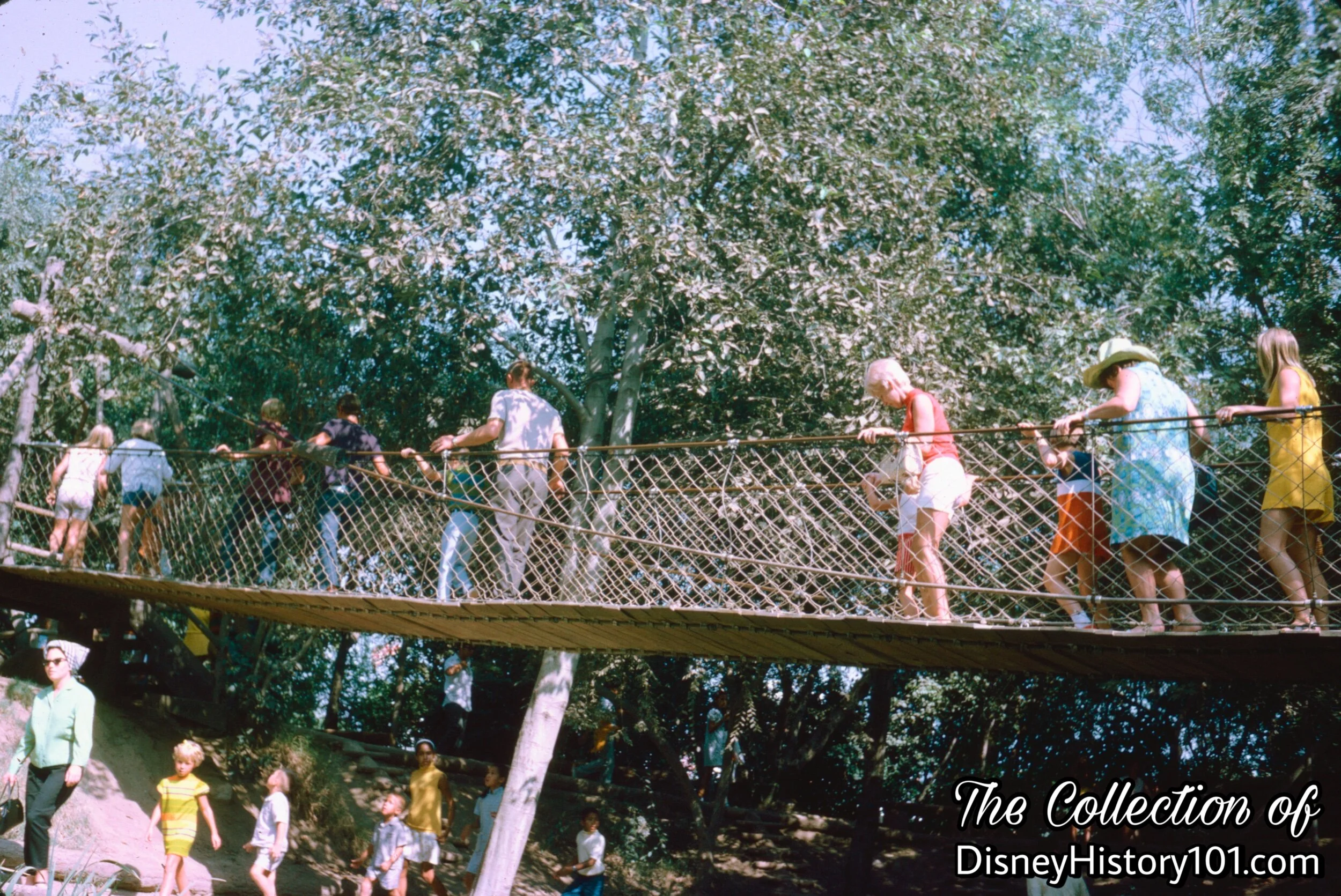Suspension Bridge