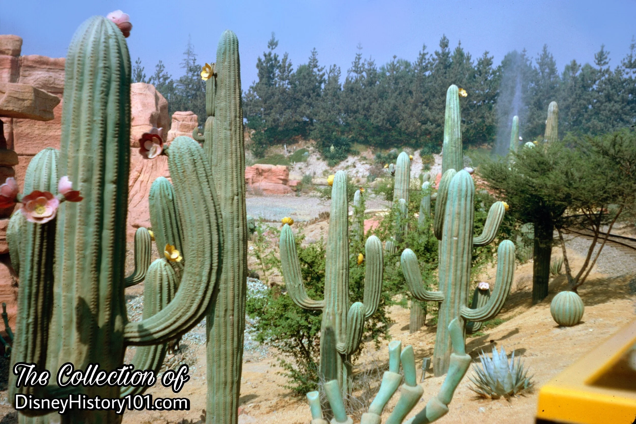 The Living Desert