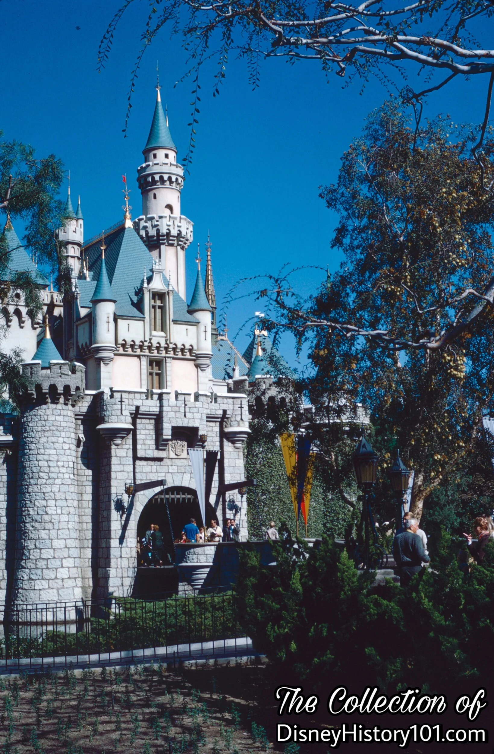 Sleeping Beauty Castle