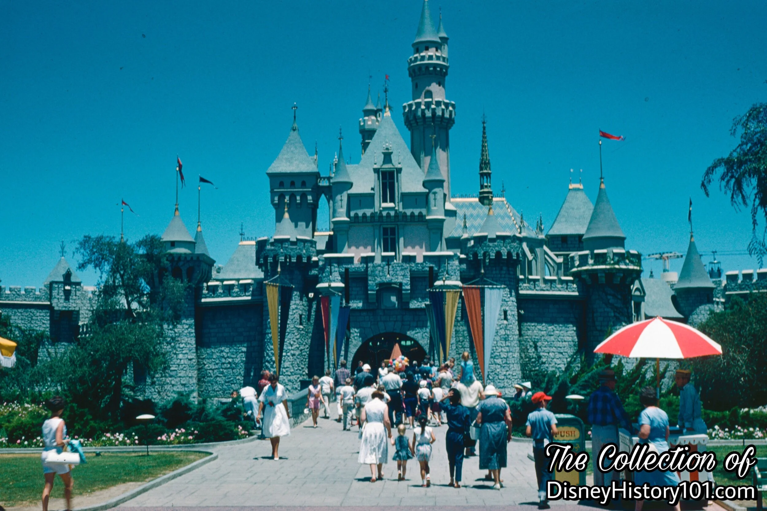 Sleeping Beauty Castle