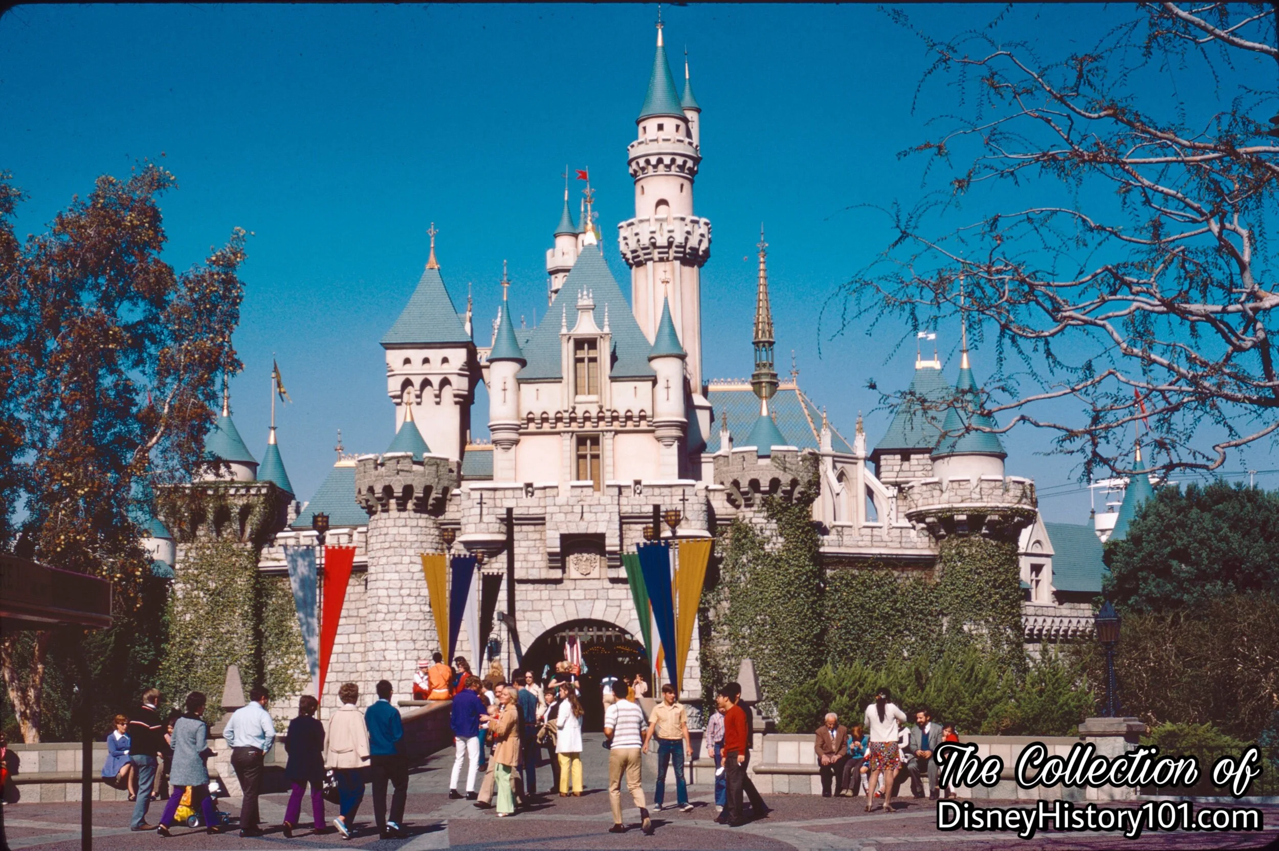 Sleeping Beauty Castle