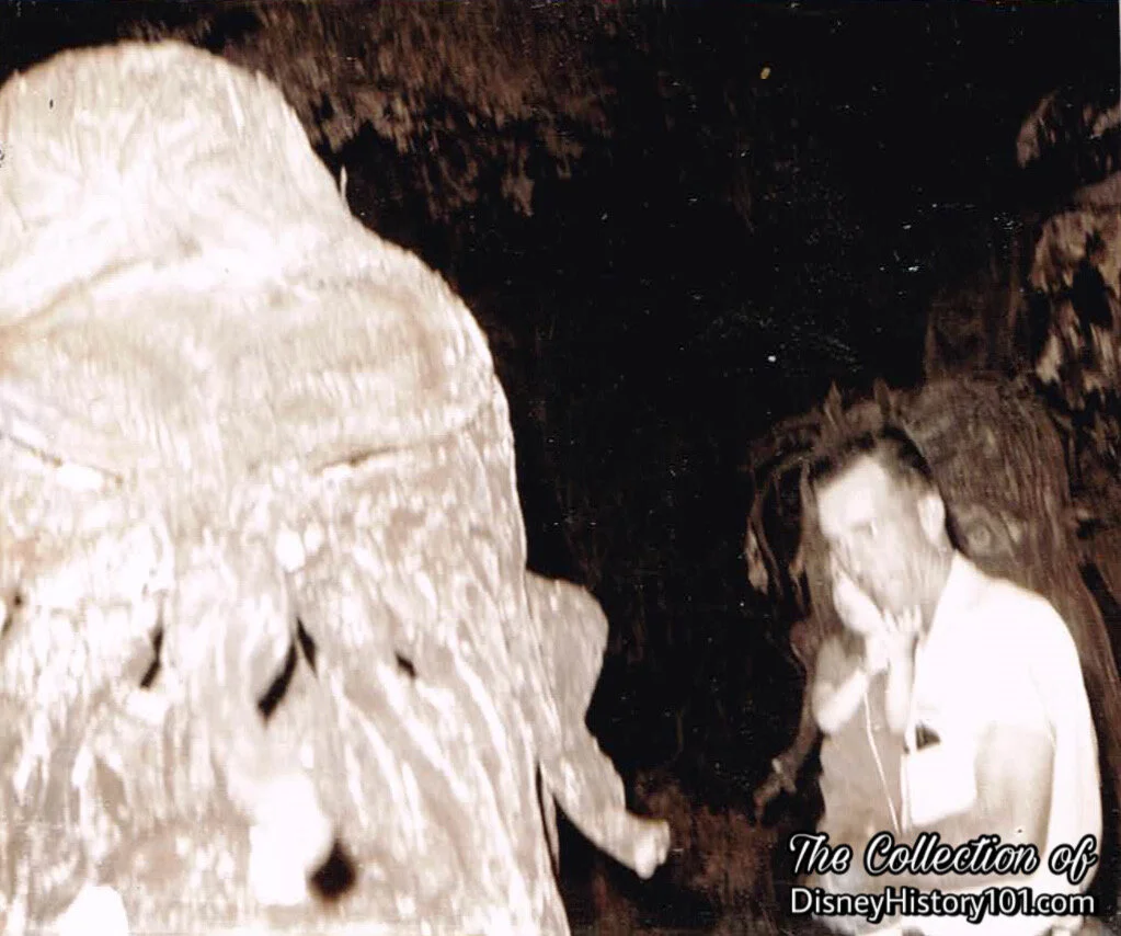 “Forest of No Return”