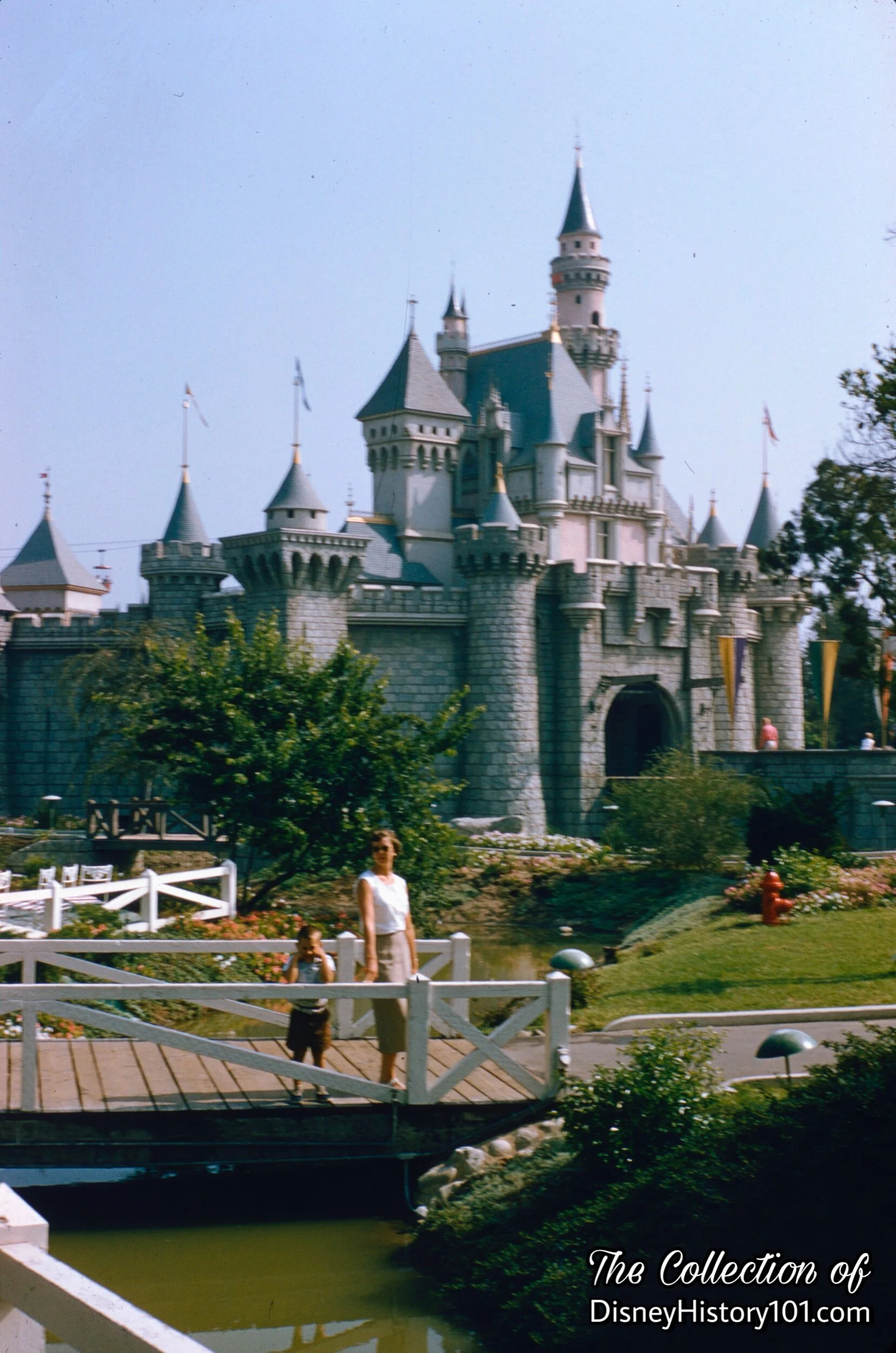 Carnation Plaza Gardens Bridge