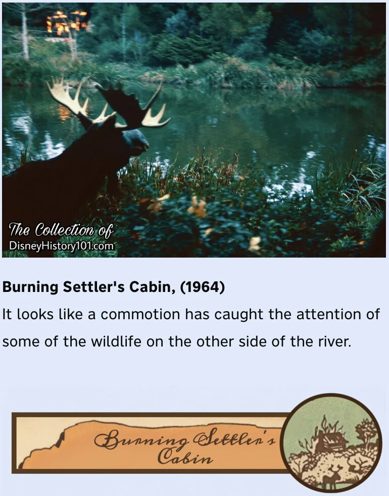 (1956-2016)