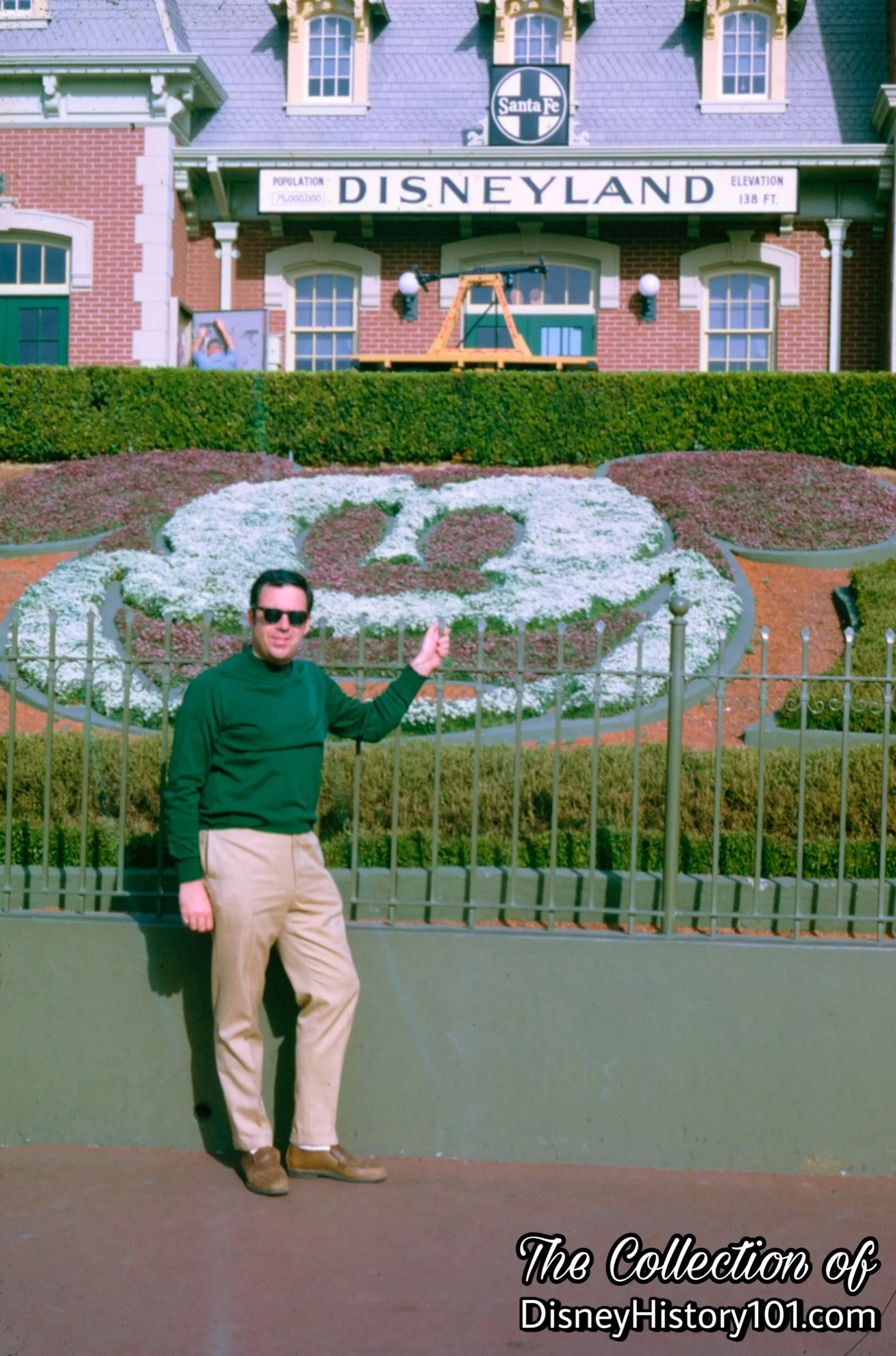 Mickey Mouse Floral Portrait