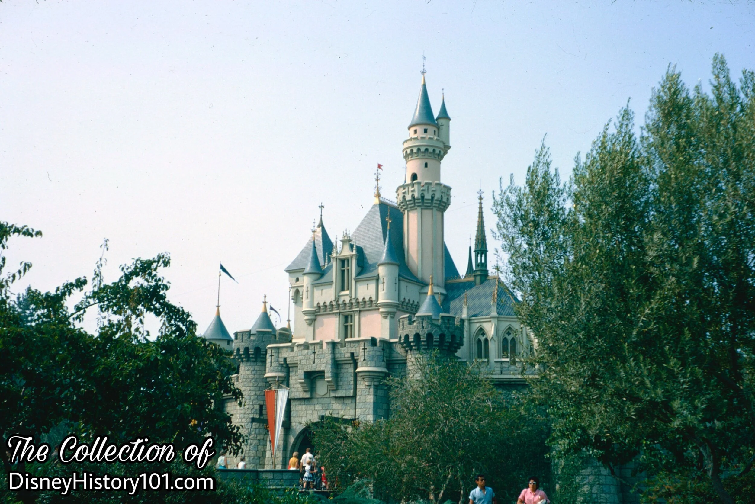Sleeping Beauty Castle