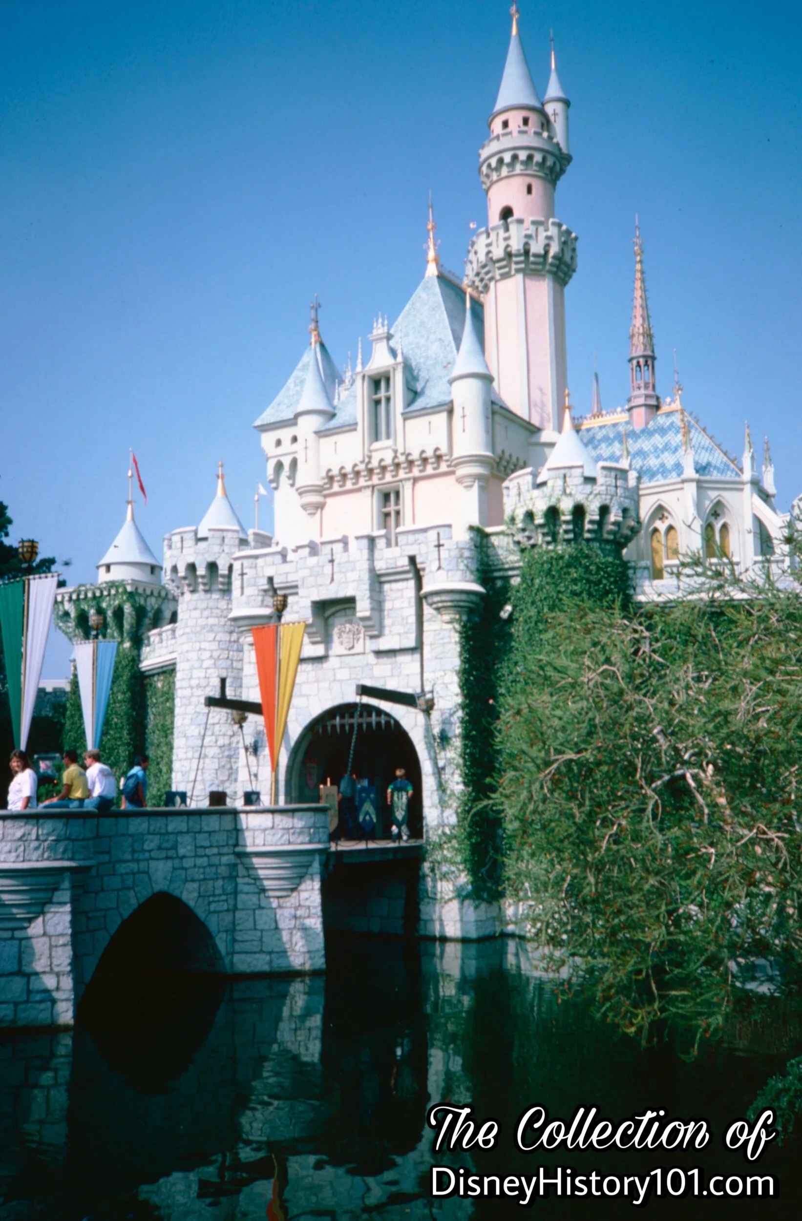 Sleeping Beauty Castle