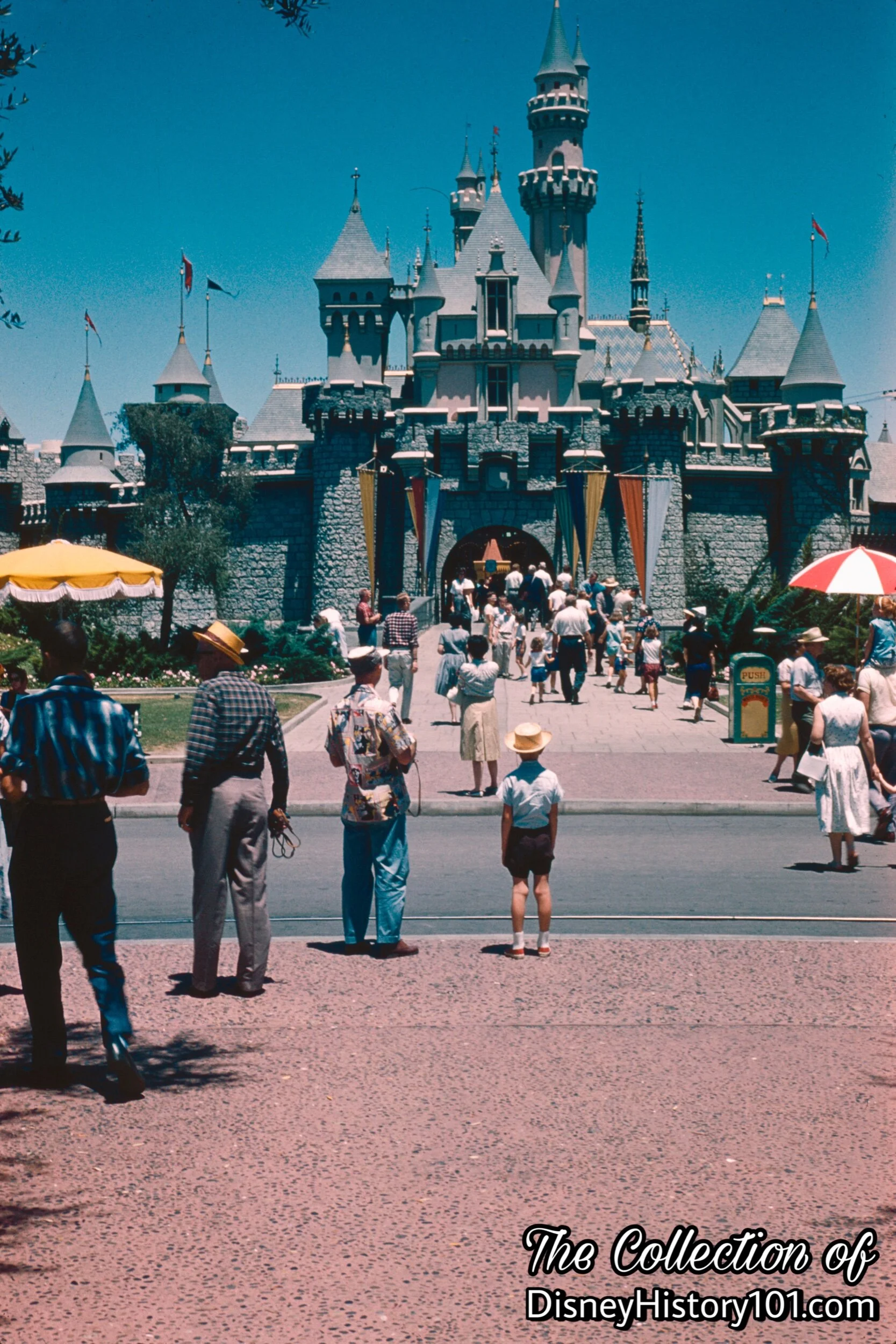 Sleeping Beauty Castle