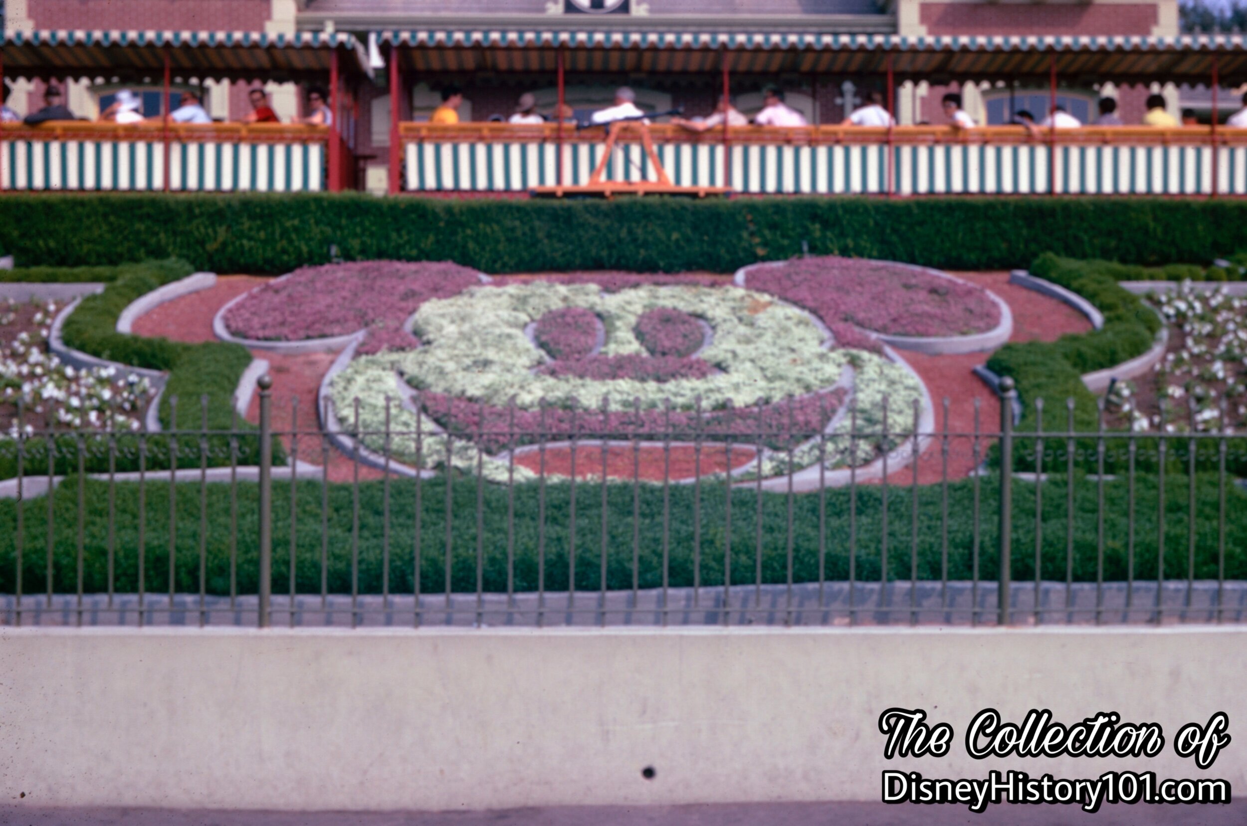 Mickey Mouse Floral Portrait