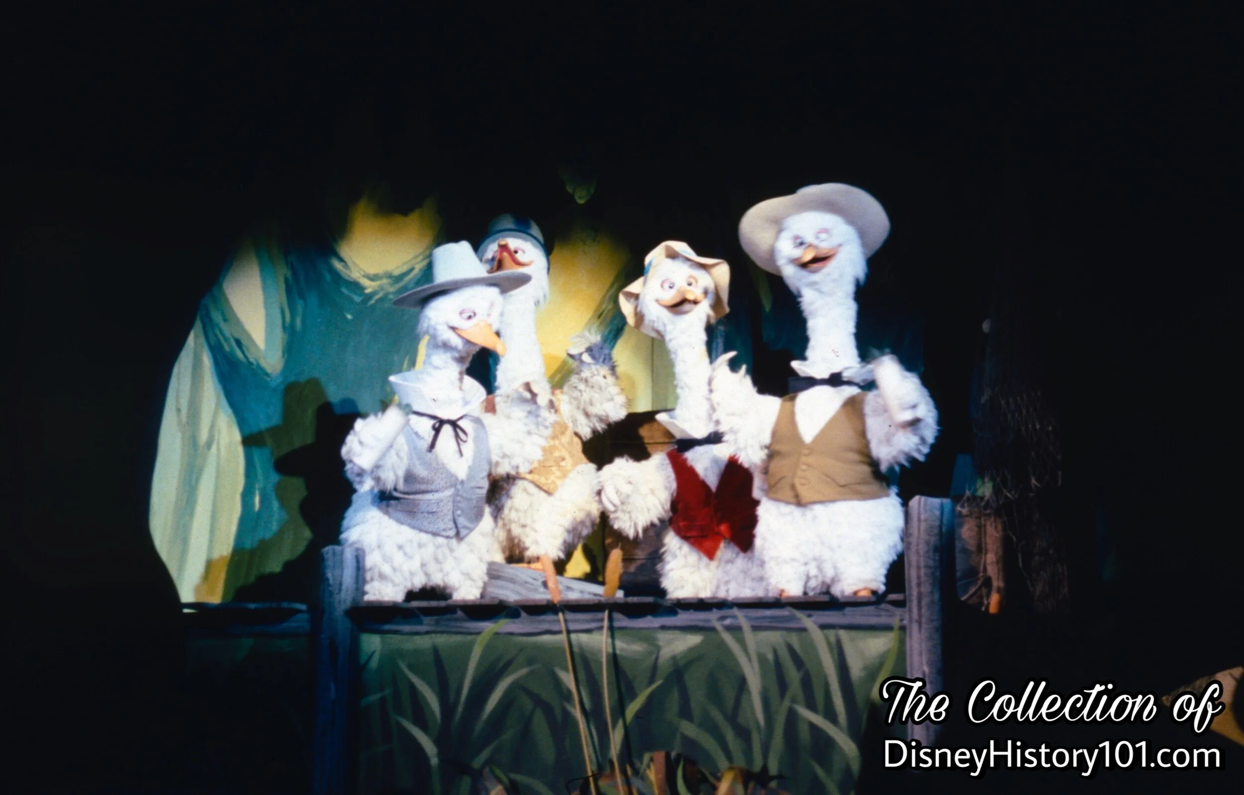 Geese Quartet ; Early "Deep South"