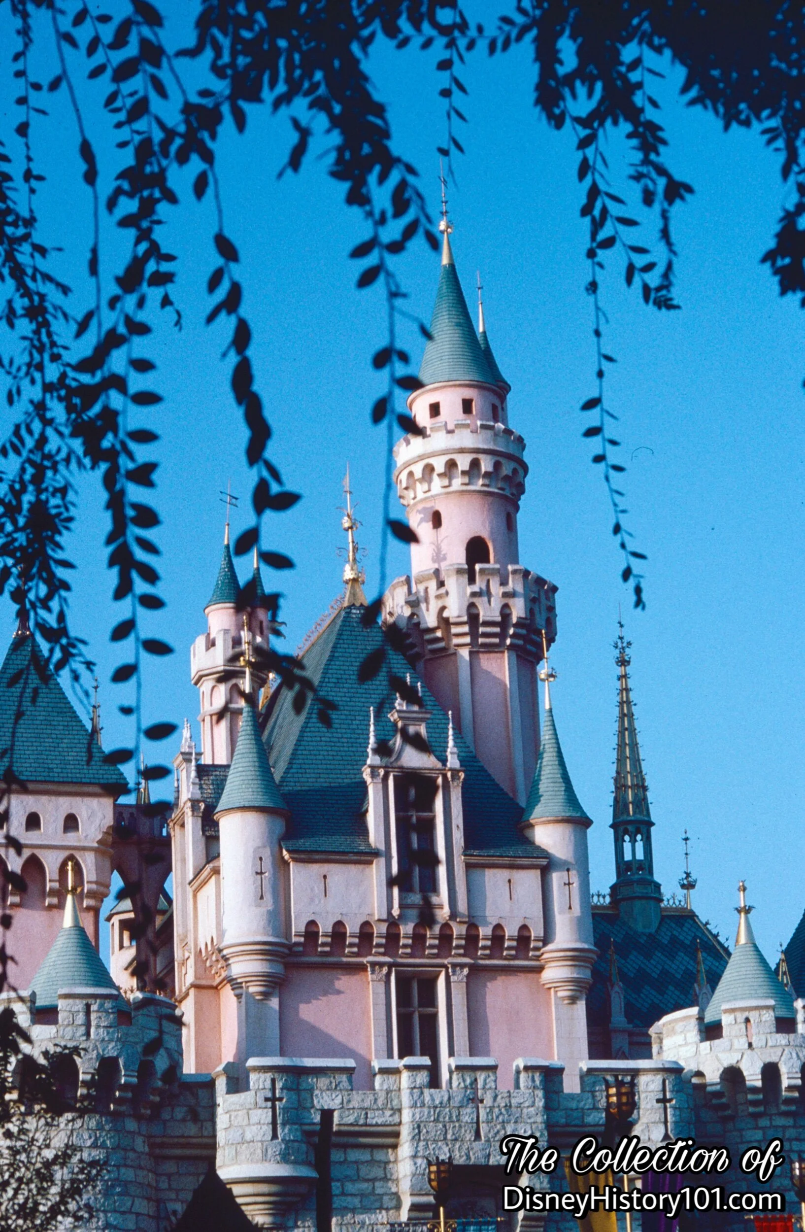 Sleeping Beauty Castle