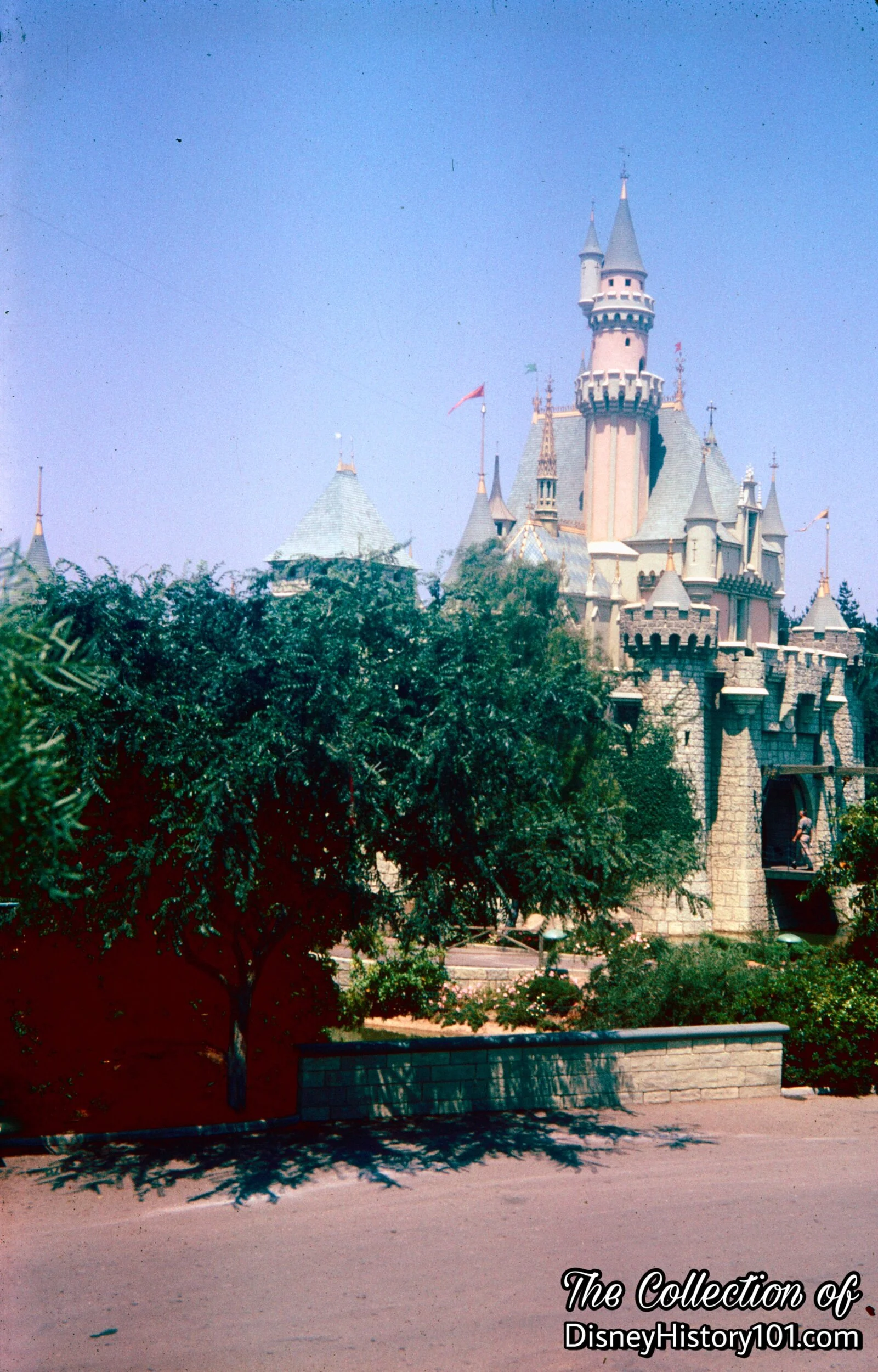 Sleeping Beauty Castle