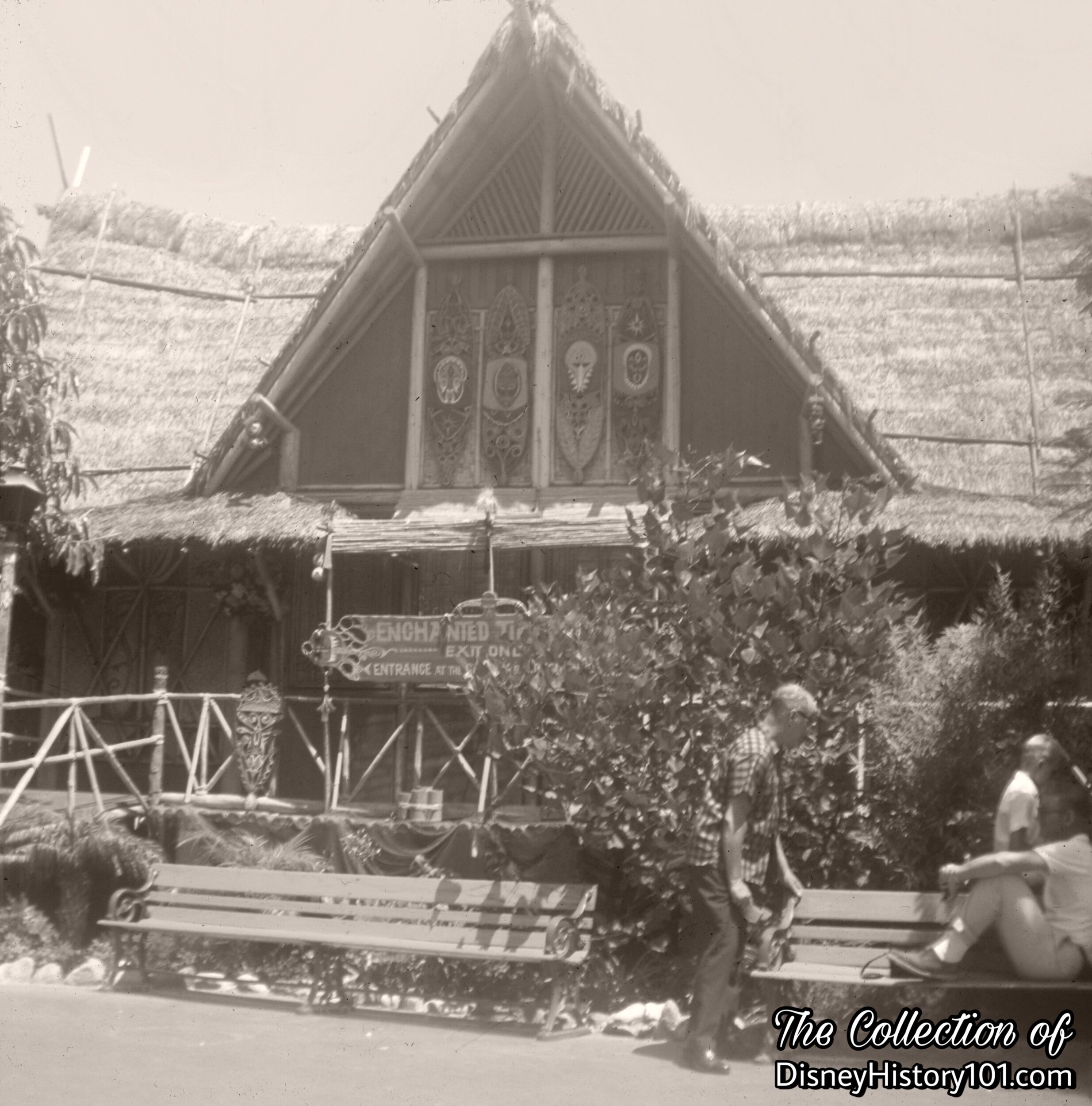 The "Backside" of Walt Disney’s Enchanted Tiki Room.