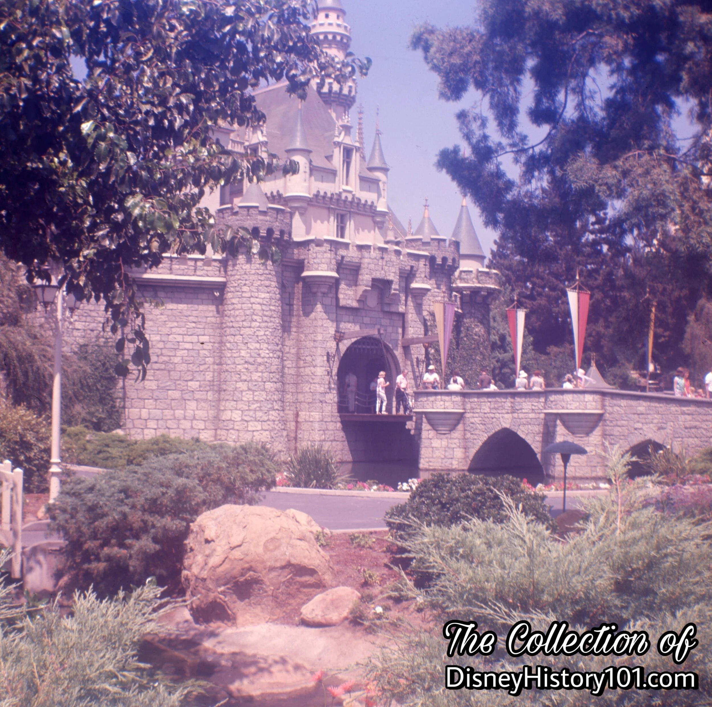 Sleeping Beauty Castle