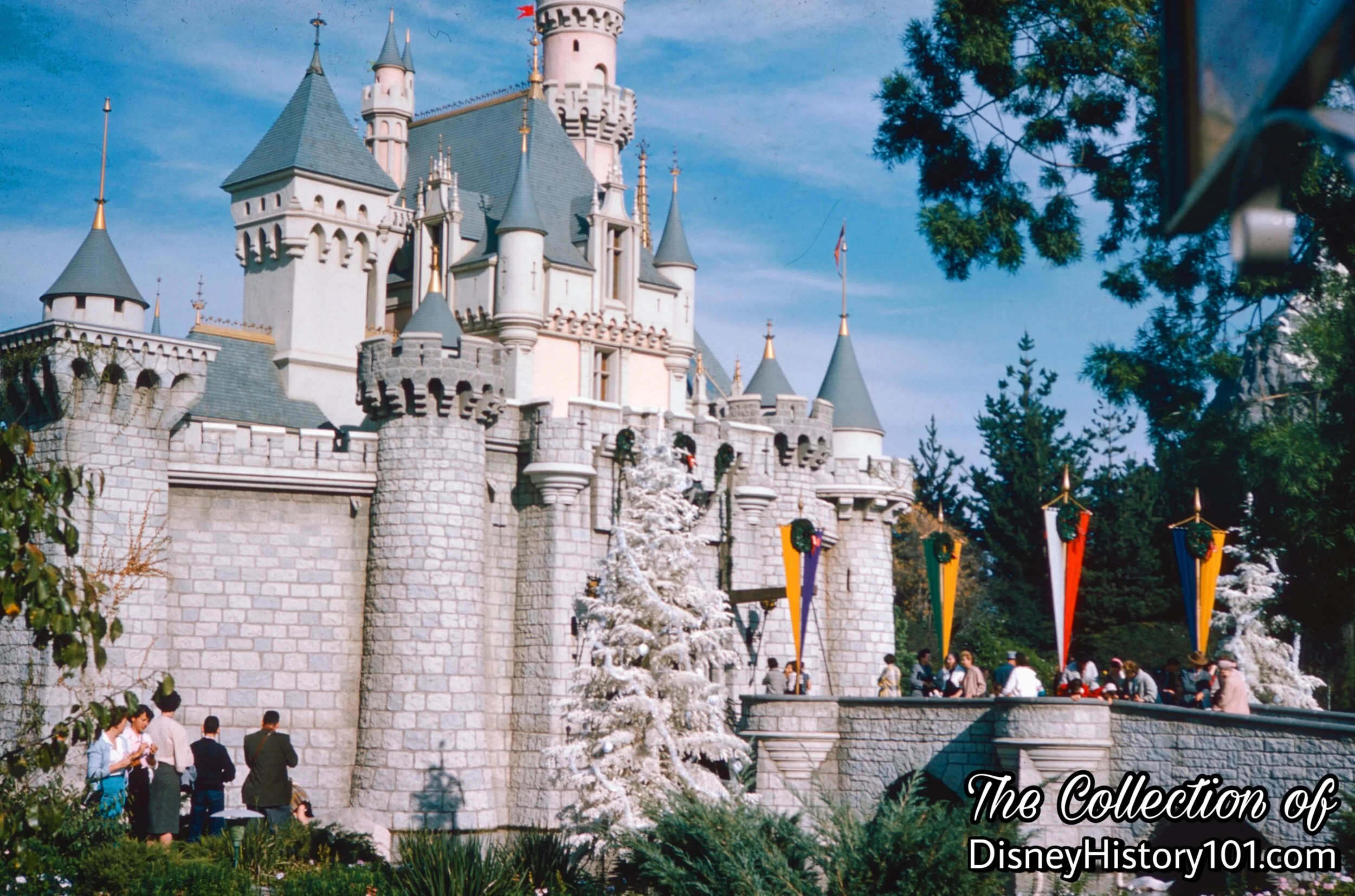 Sleeping Beauty Castle