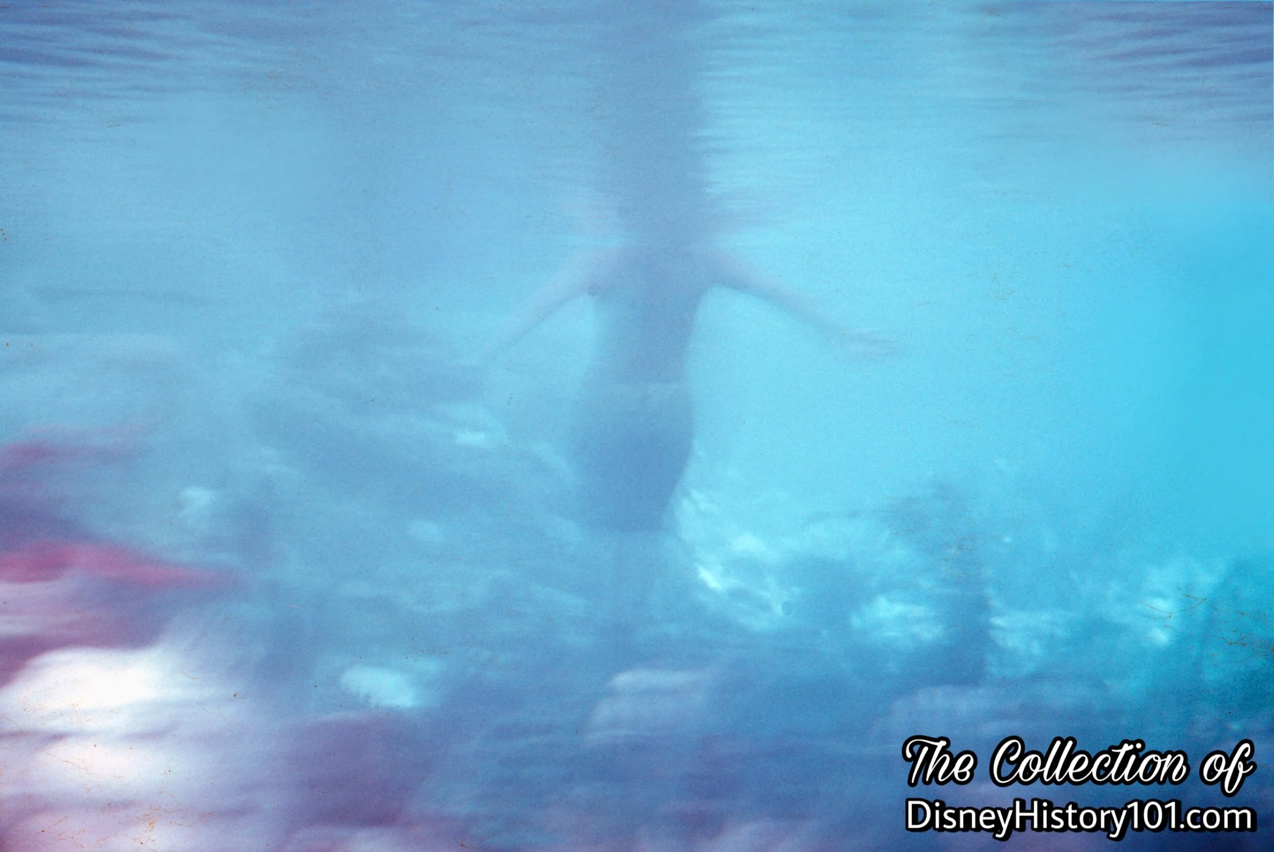 Living Mermaids From Mythical Times