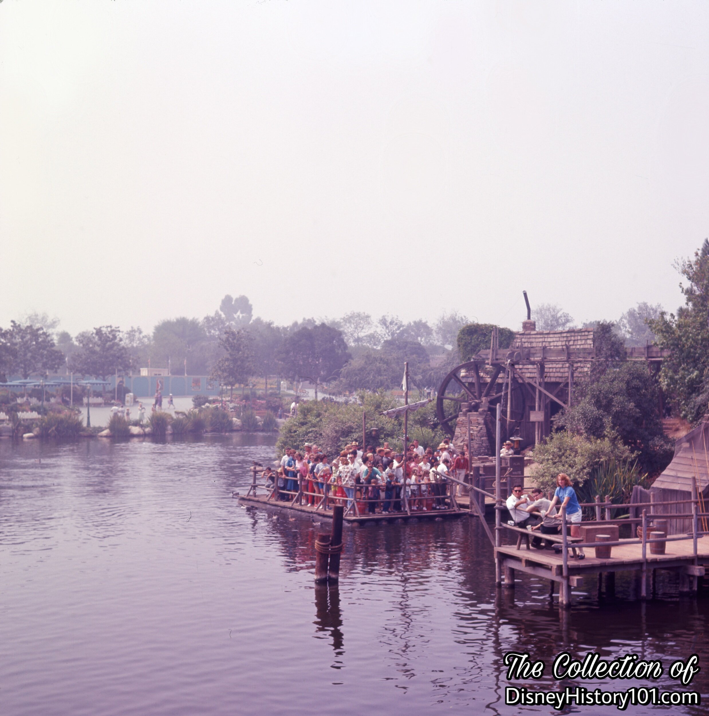468FF9A0-EA05-4609-A77D-4AC8285B9D19.jpeg