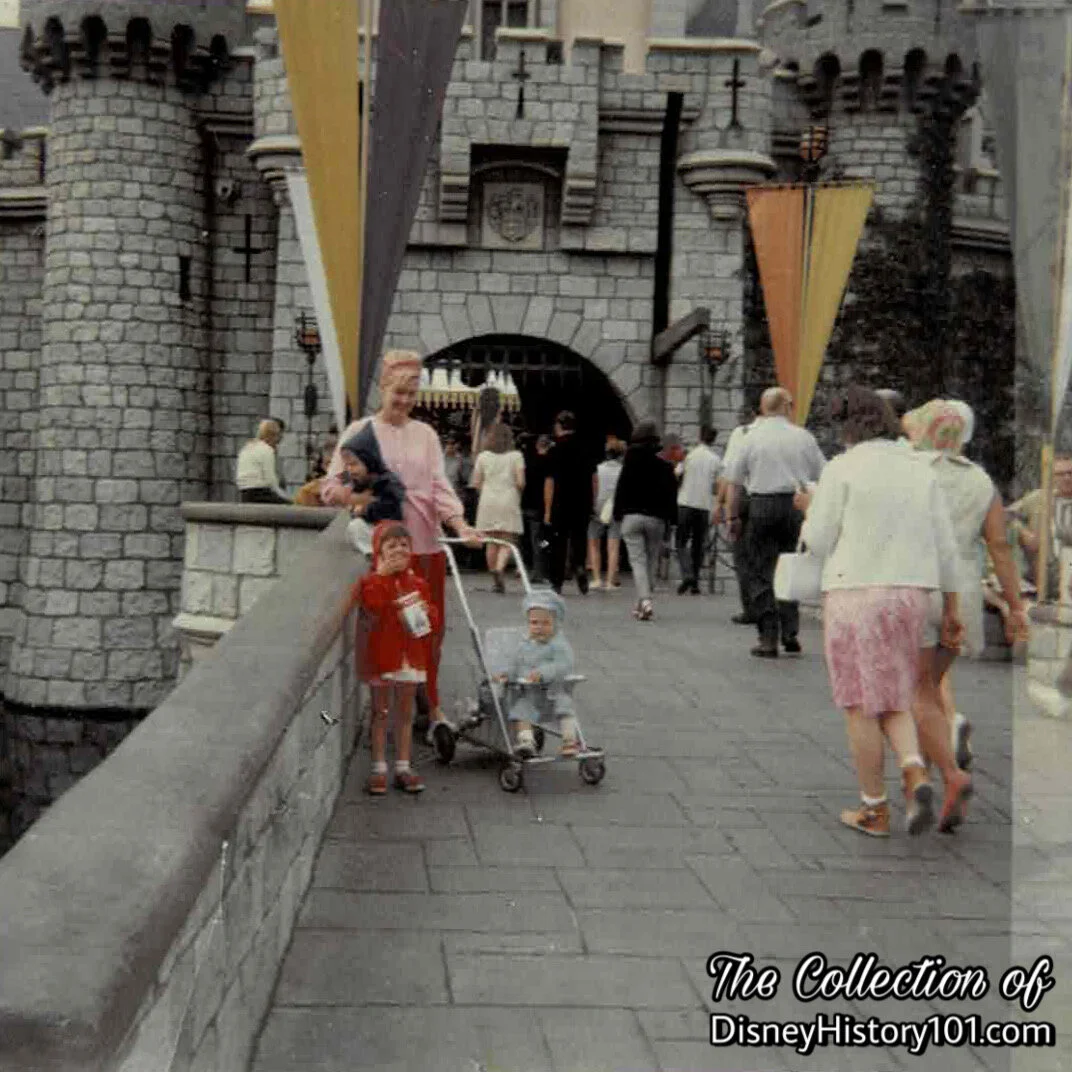 Sleeping Beauty Castle