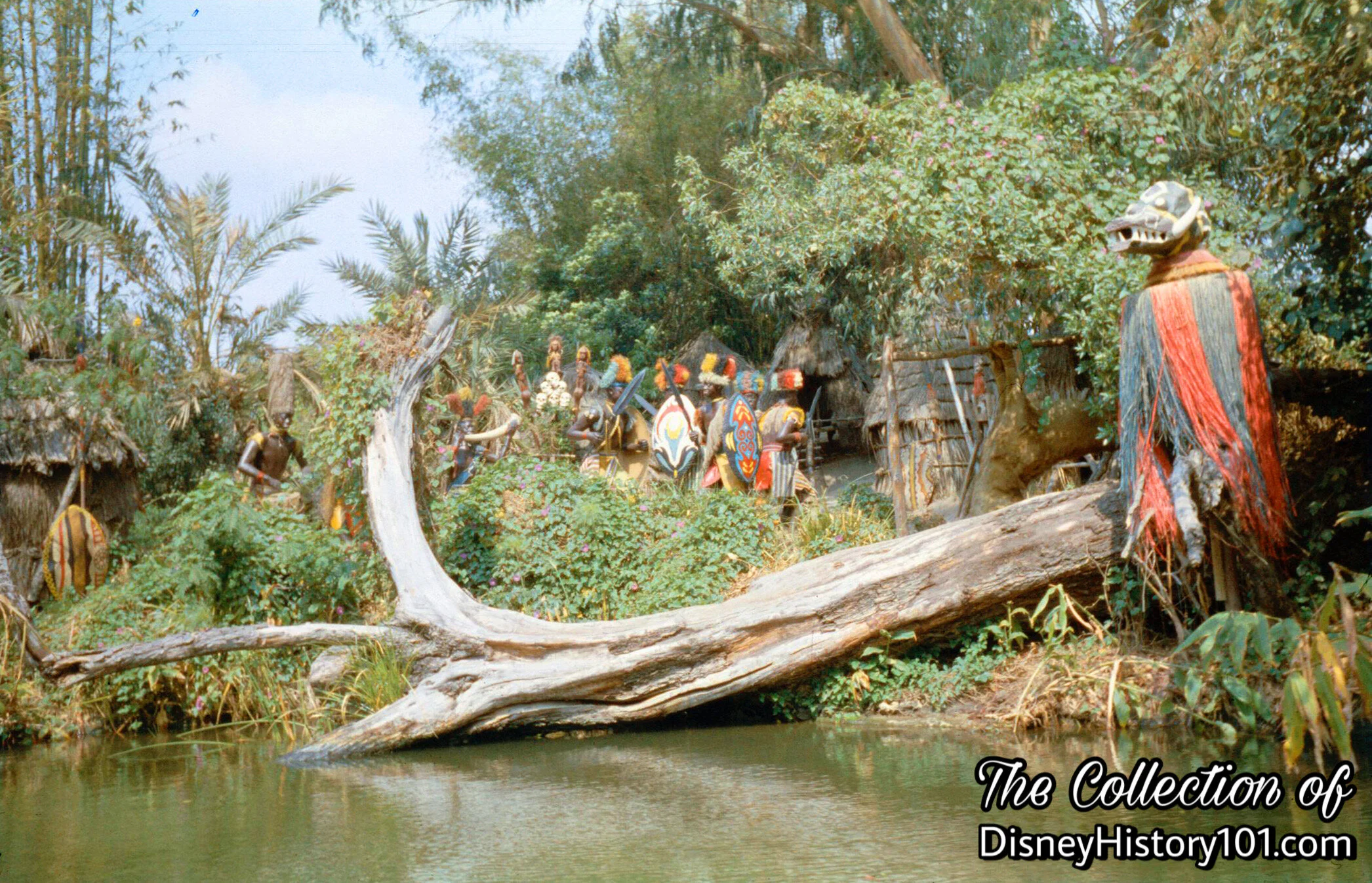  “Giant bamboo trees that grow 60 feet high. Some of the bushes in this area grow the berries from which the natives extract the deadly bushman’s poison.”  