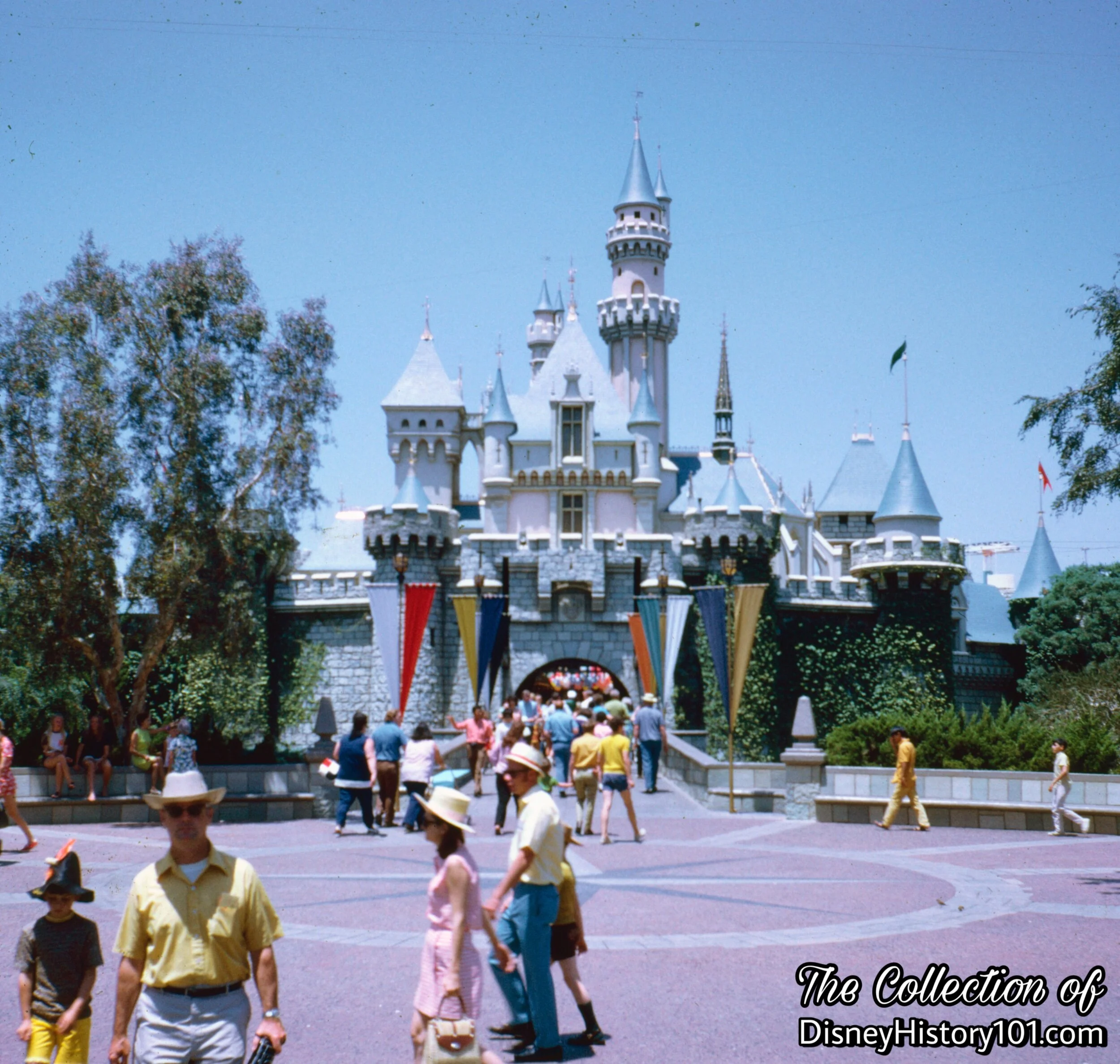 Sleeping Beauty Castle & Disneyland Compass Rose