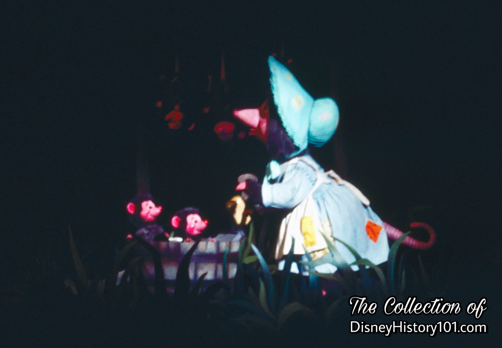 "Plaintive" Mother Possum & Her Babies in The Bayous of the  Early "Deep South."